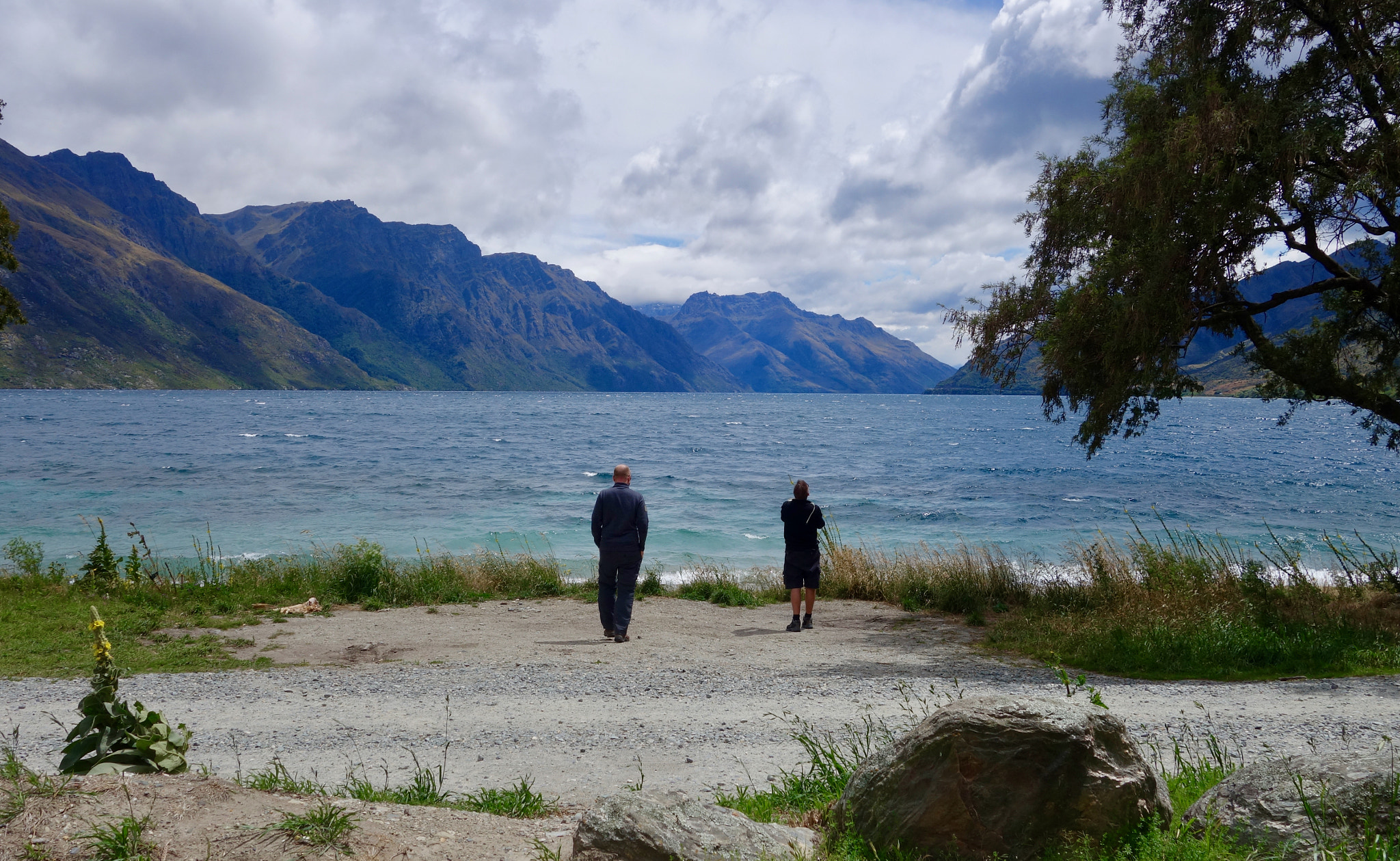 Sony Cyber-shot DSC-RX100 II sample photo. New zealand jan. 2017 photography