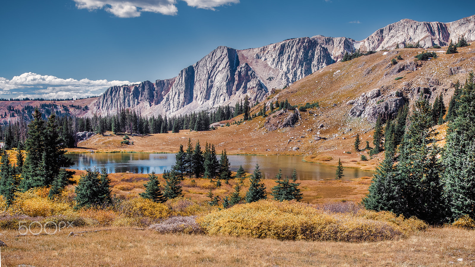 Canon EOS-1D X Mark II sample photo. Alpine fall photography