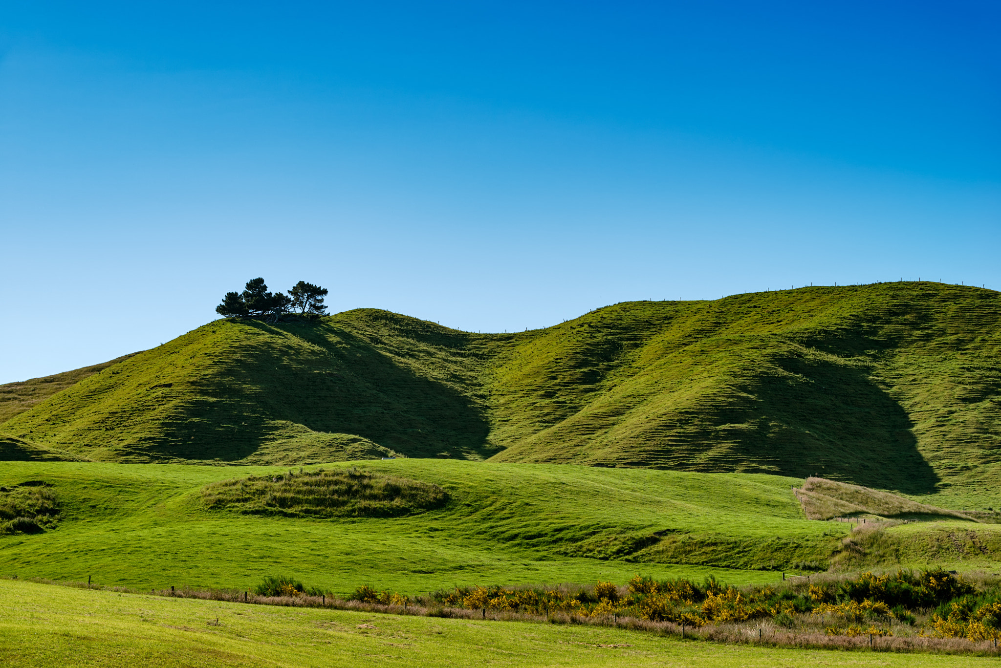 Pentax smc DA* 60-250mm F4.0 ED (IF) SDM sample photo. Green hills photography