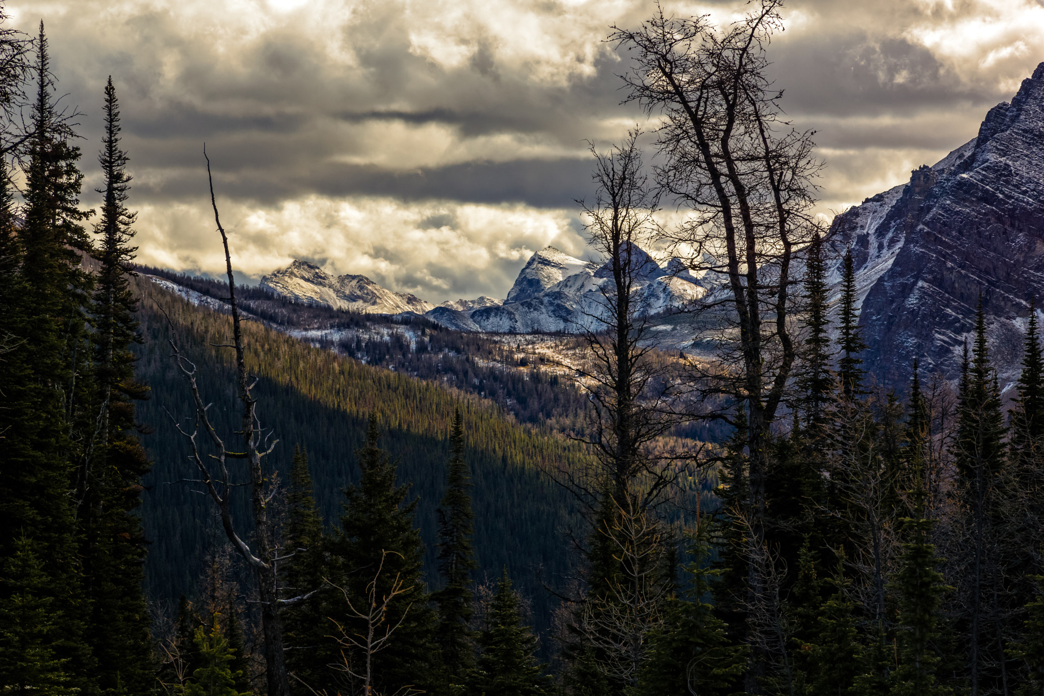 Sony SLT-A77 sample photo. Towards storm mountain, banff np photography