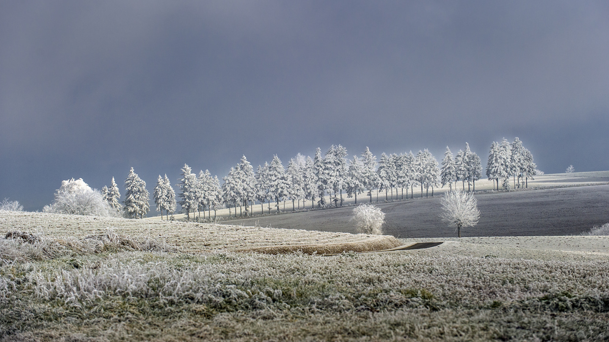 Nikon D3S sample photo. Frimas photography