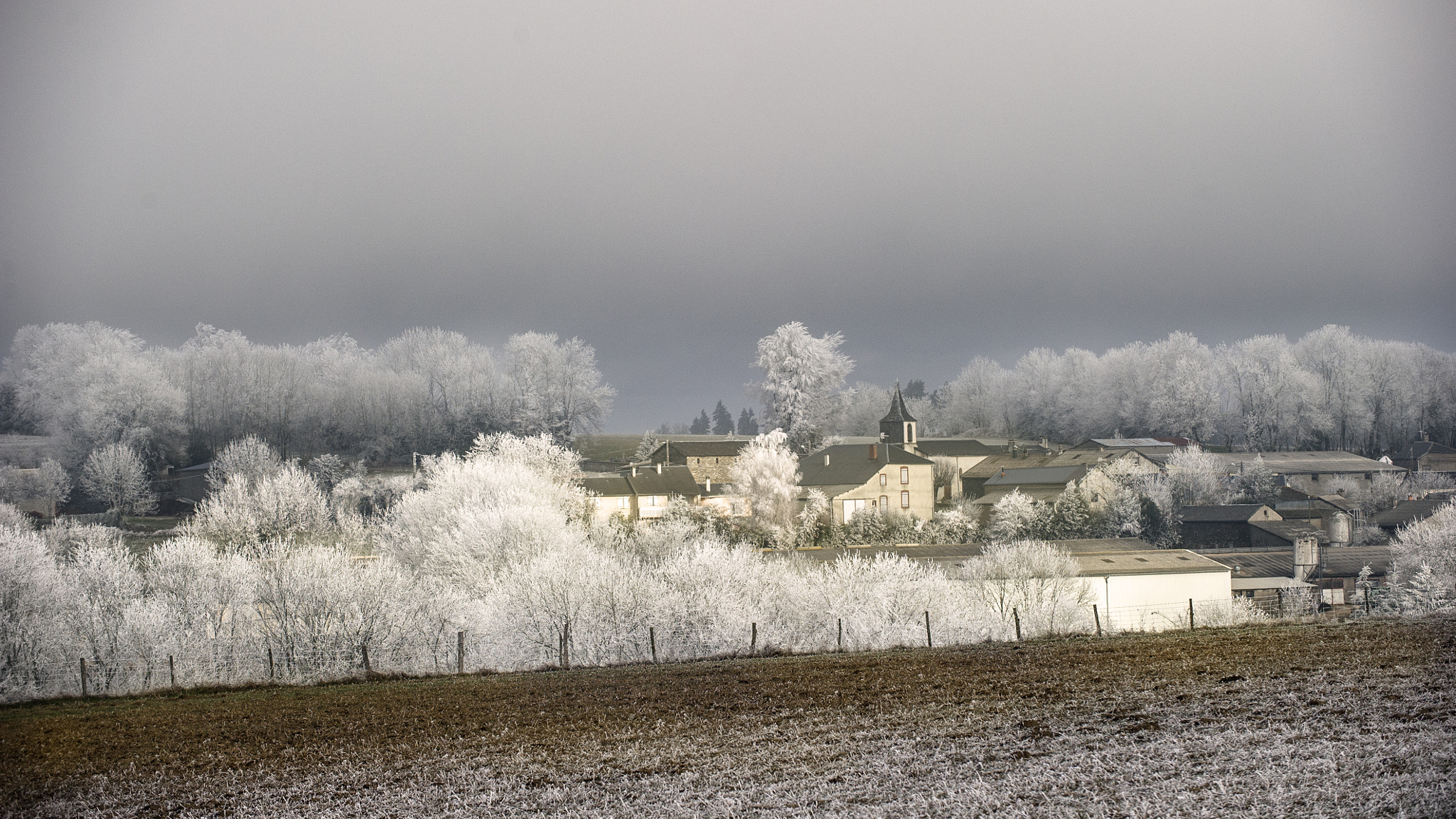 Nikon D3S sample photo. Frimas photography