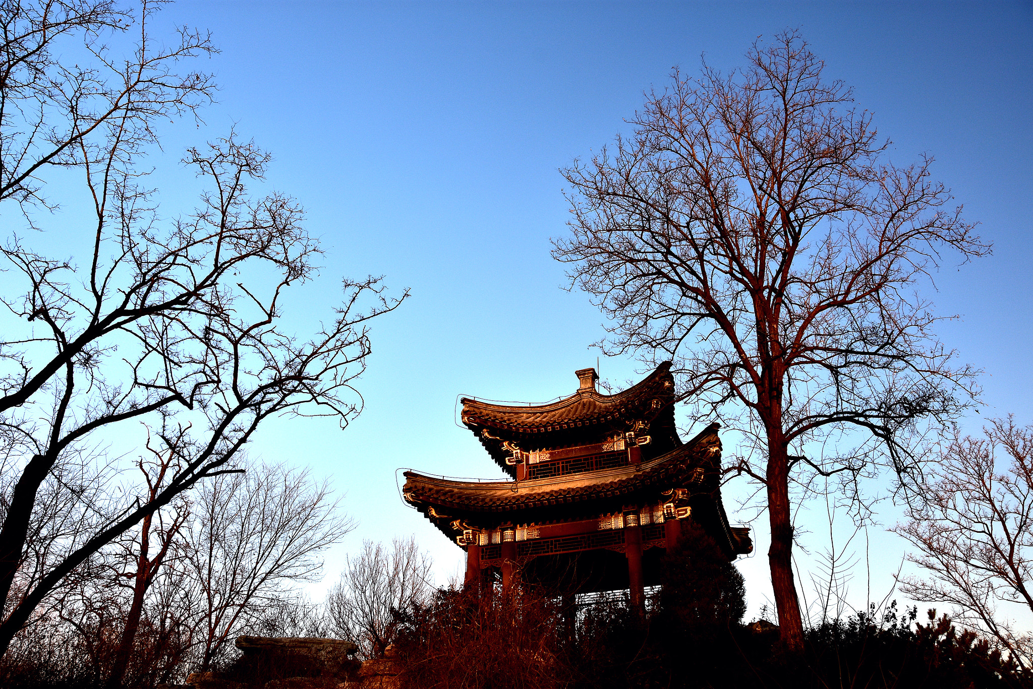 Nikon D7200 sample photo