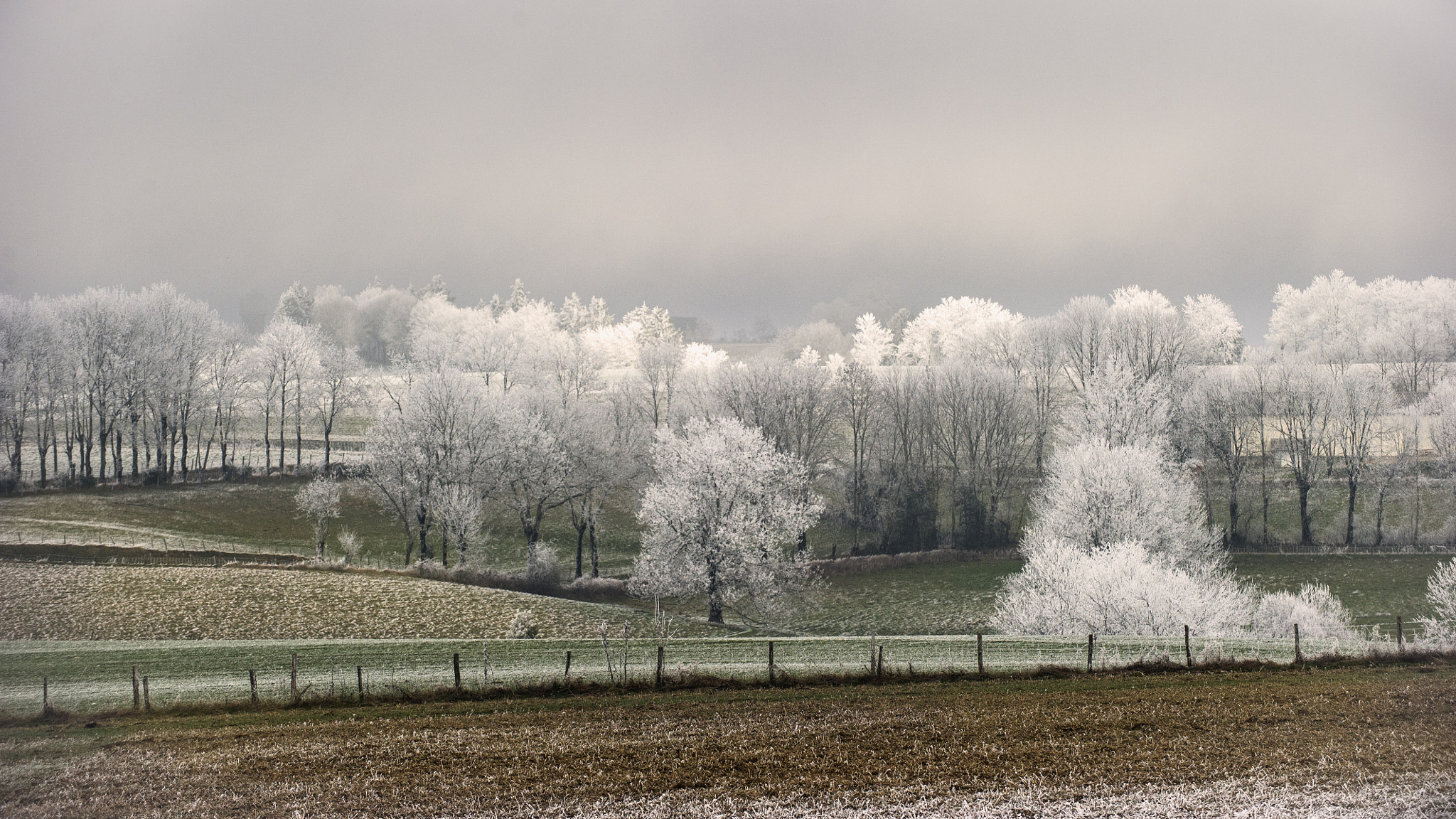Nikon D3S sample photo. Frimas photography