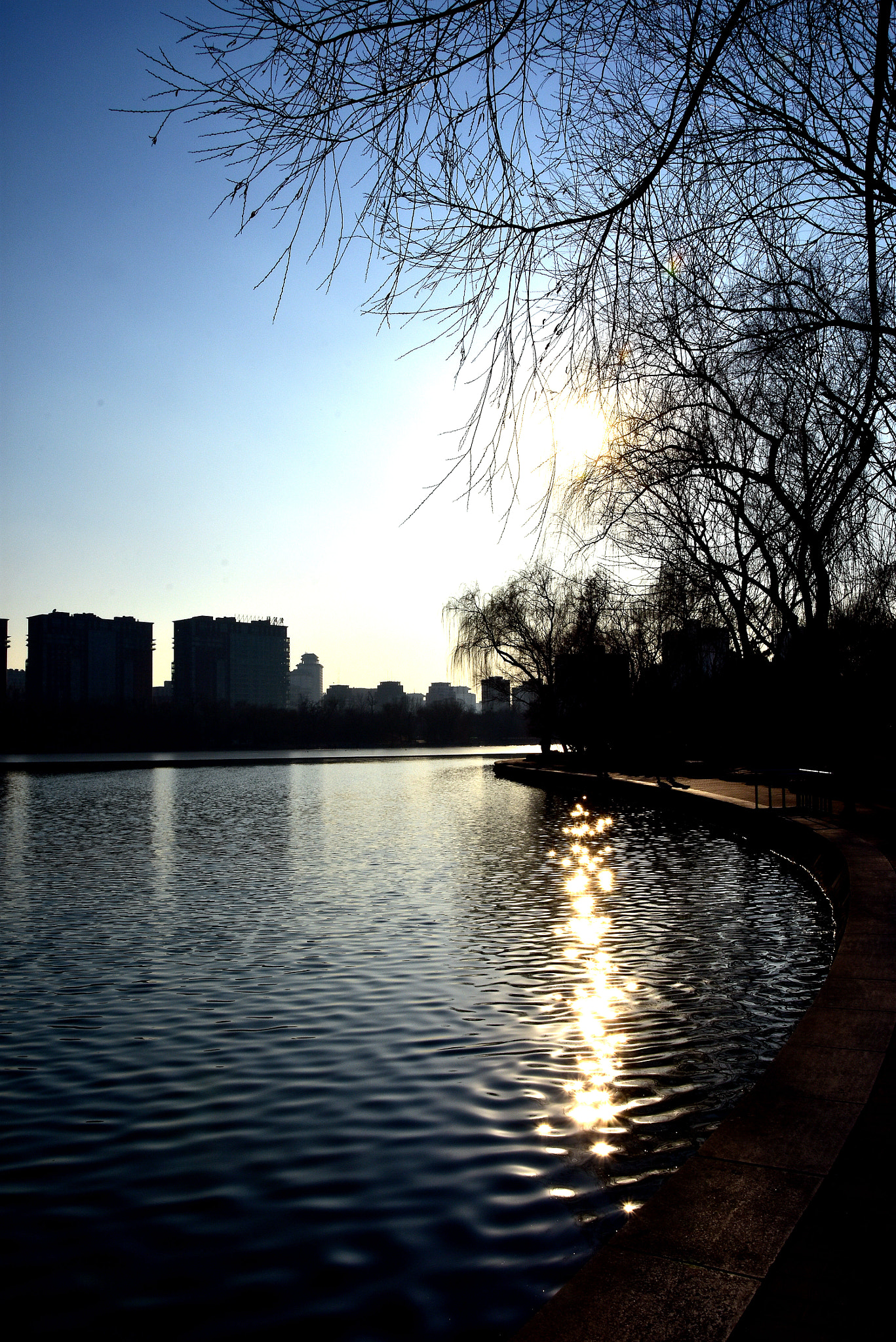 Nikon D7200 sample photo