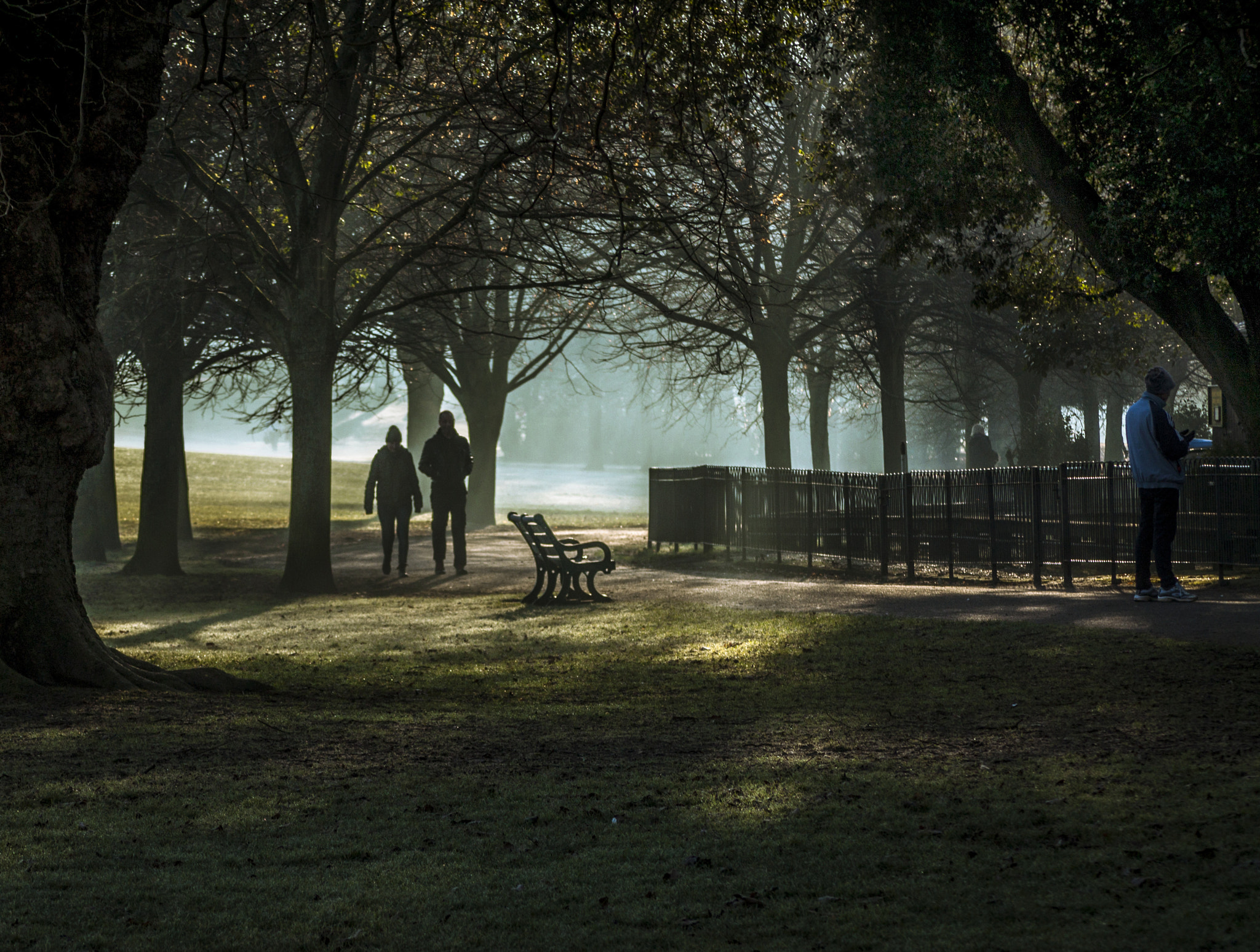 Canon EOS 450D (EOS Rebel XSi / EOS Kiss X2) sample photo. Misty morning in hove park photography
