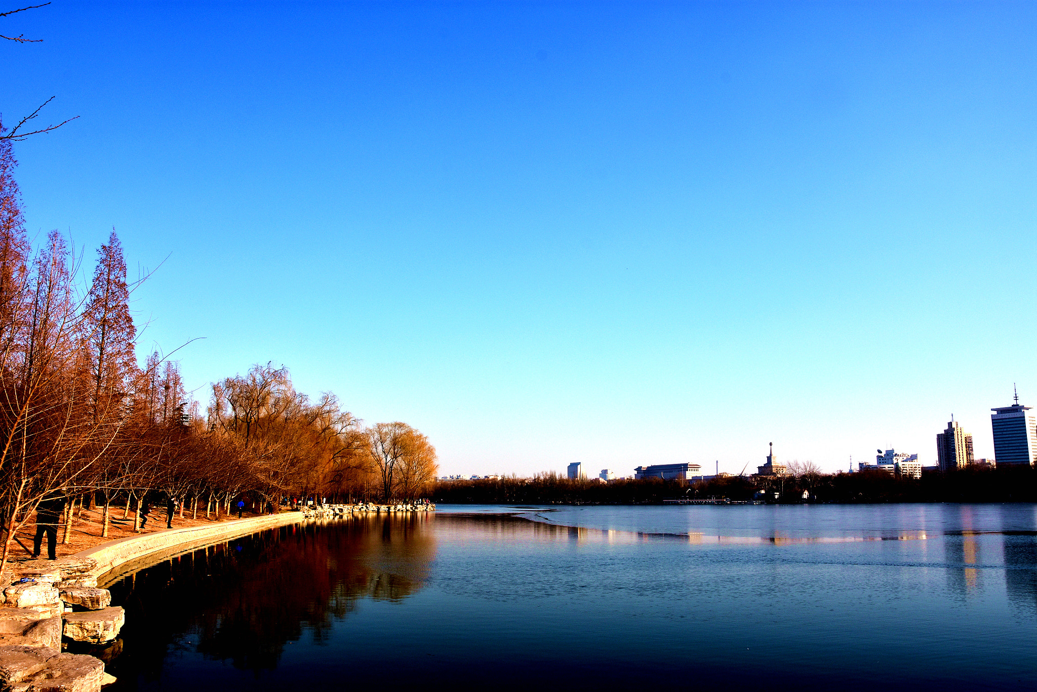 Nikon D7200 sample photo