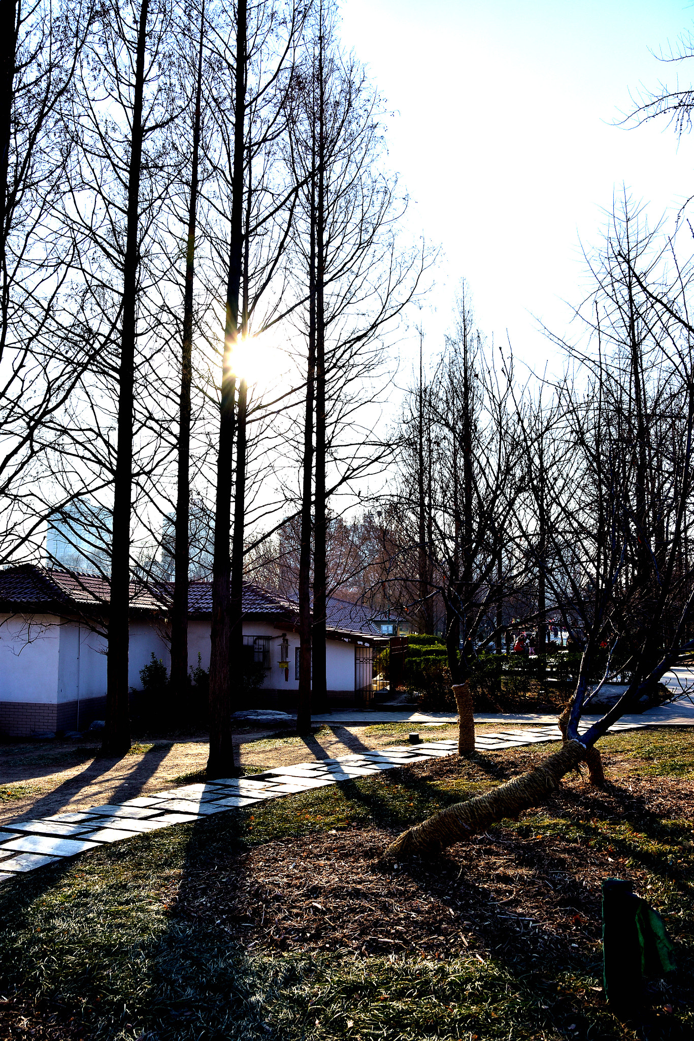 Nikon D7200 sample photo