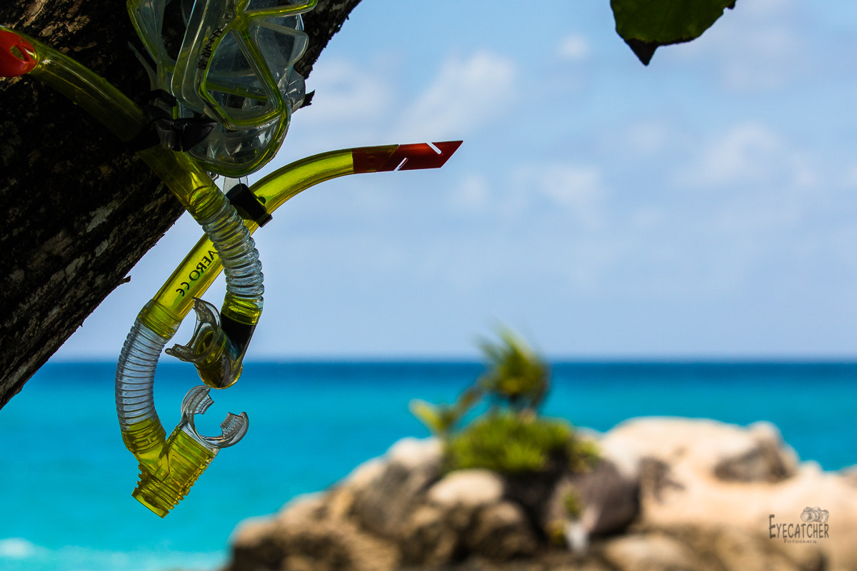 Canon EF 70-200mm F2.8L IS II USM sample photo. Seychellen photography