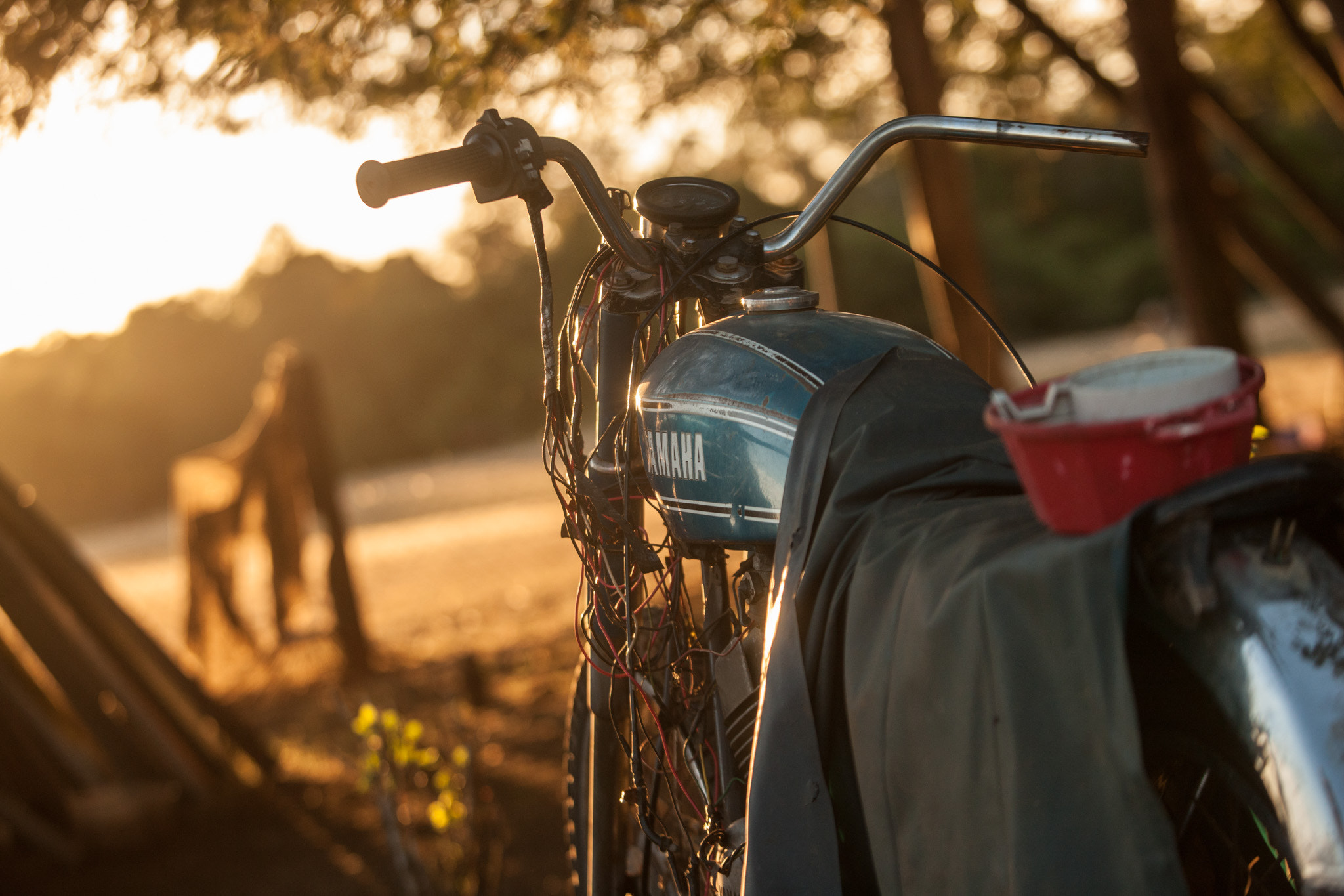 Canon EOS-1Ds Mark III sample photo. Bike photography
