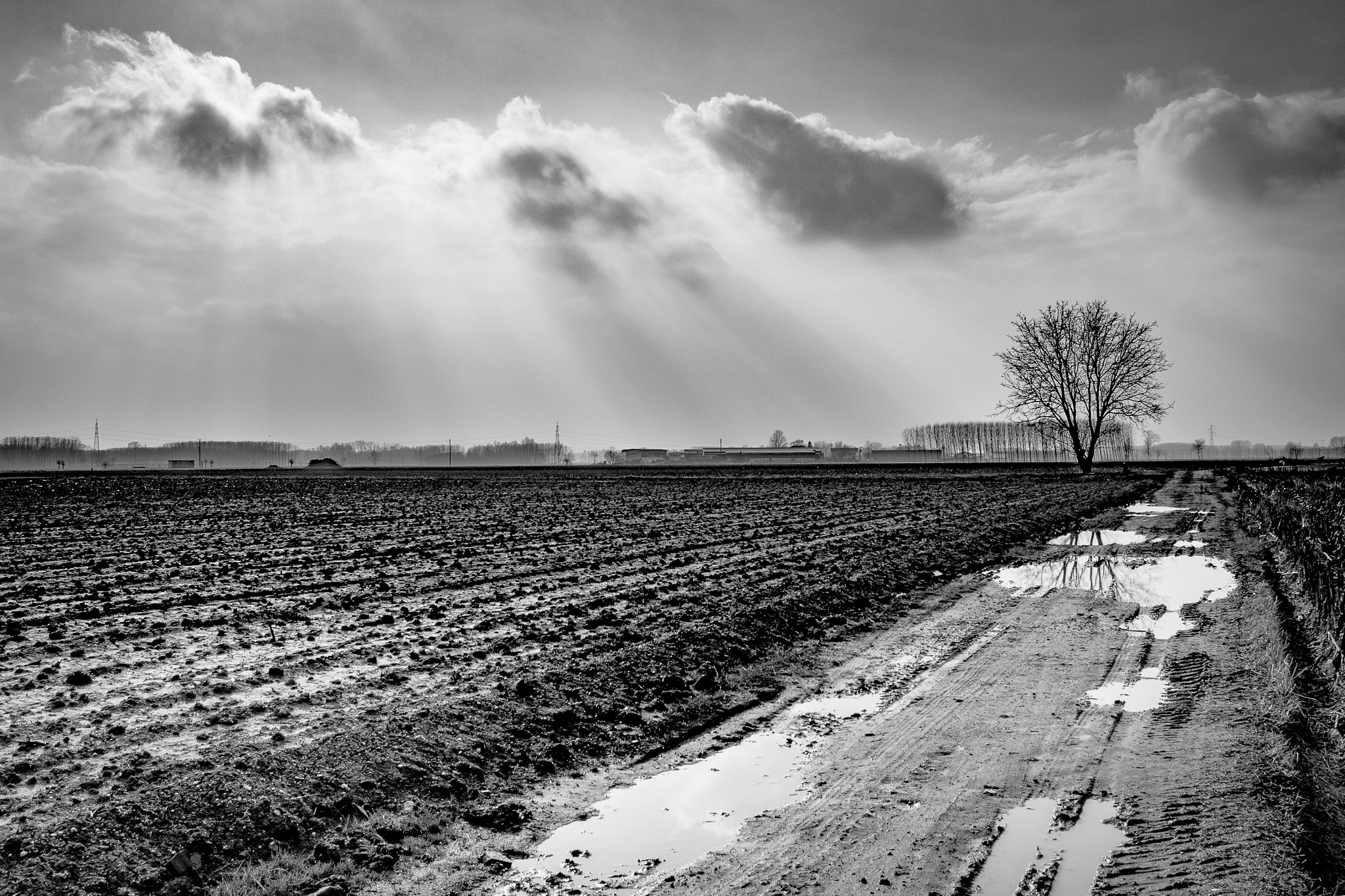 Sigma 17-70mm F2.8-4 DC Macro OS HSM sample photo. Countryside road photography