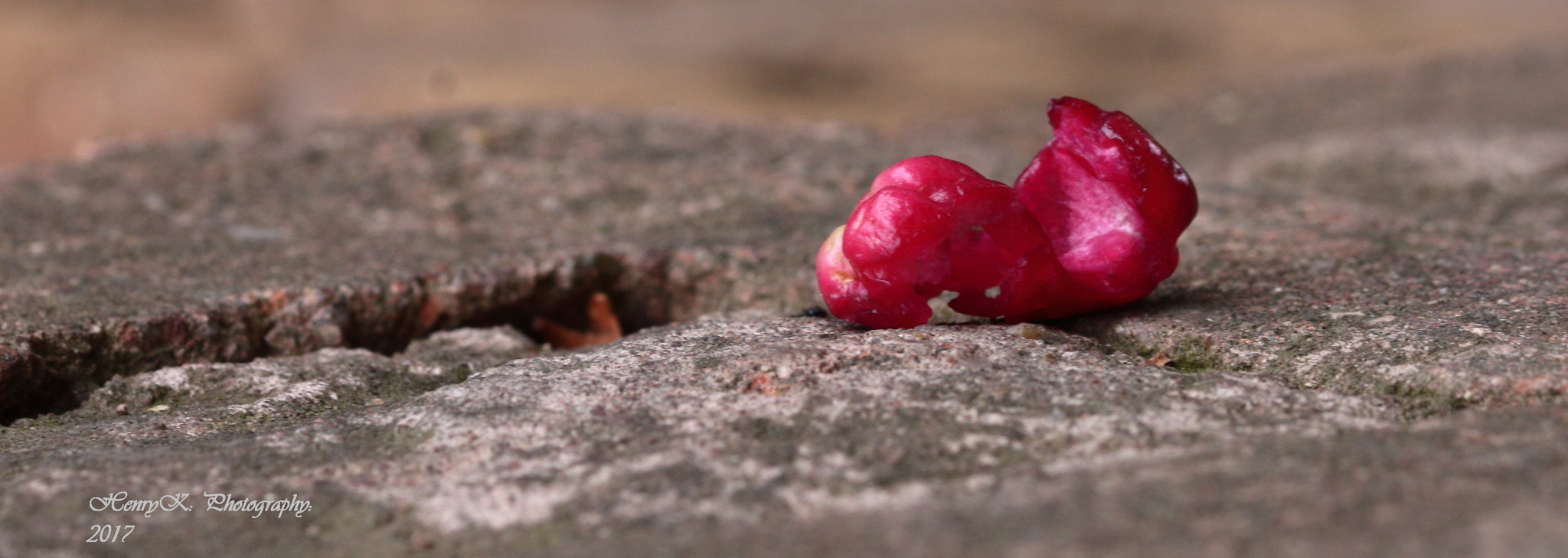 Canon 105mm sample photo. Hard landing photography