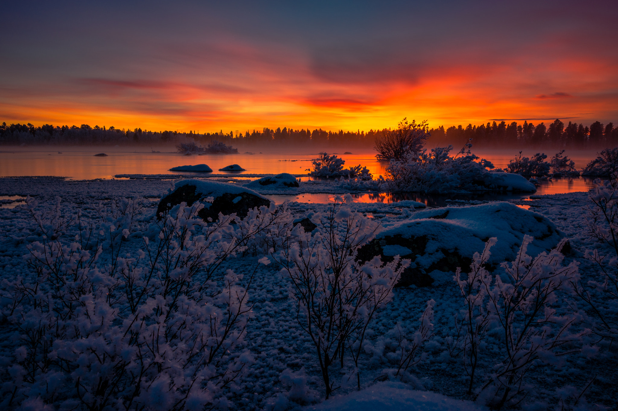 Pentax K-3 sample photo. Colors in the cold photography