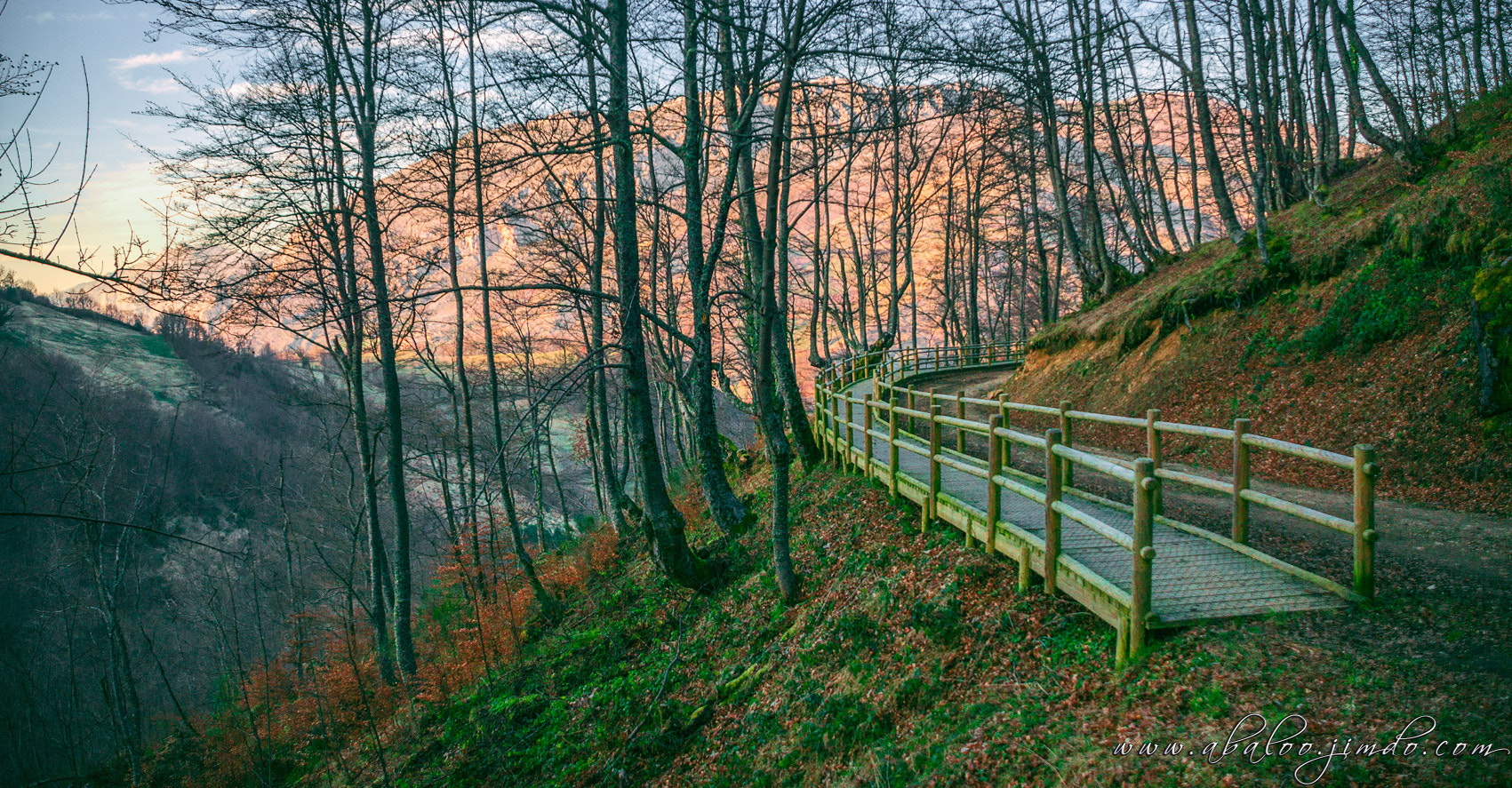 Nikon D300 sample photo. Beech monte grande photography
