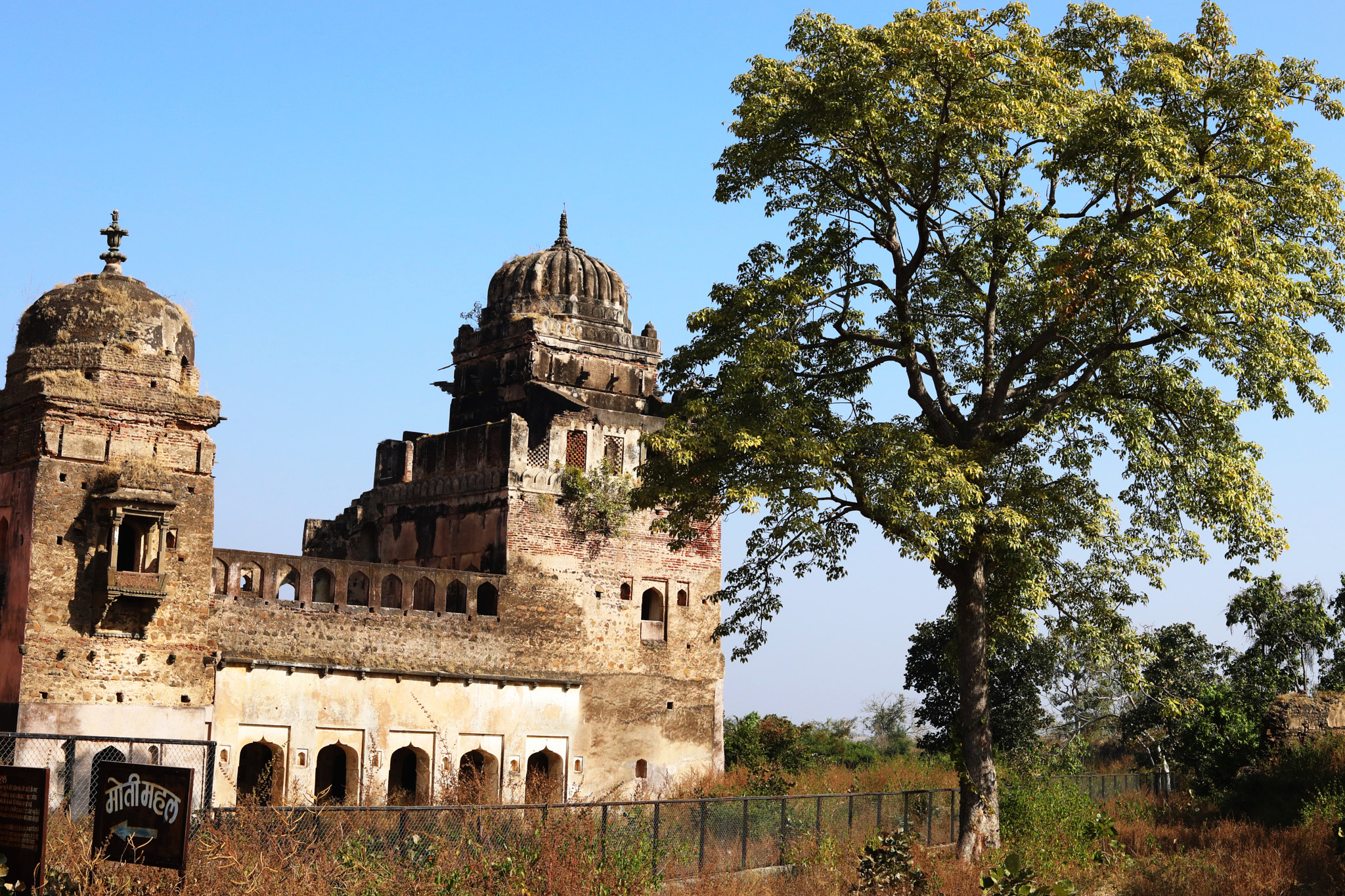 Canon EF 50mm F1.8 STM sample photo. Moti mahal photography