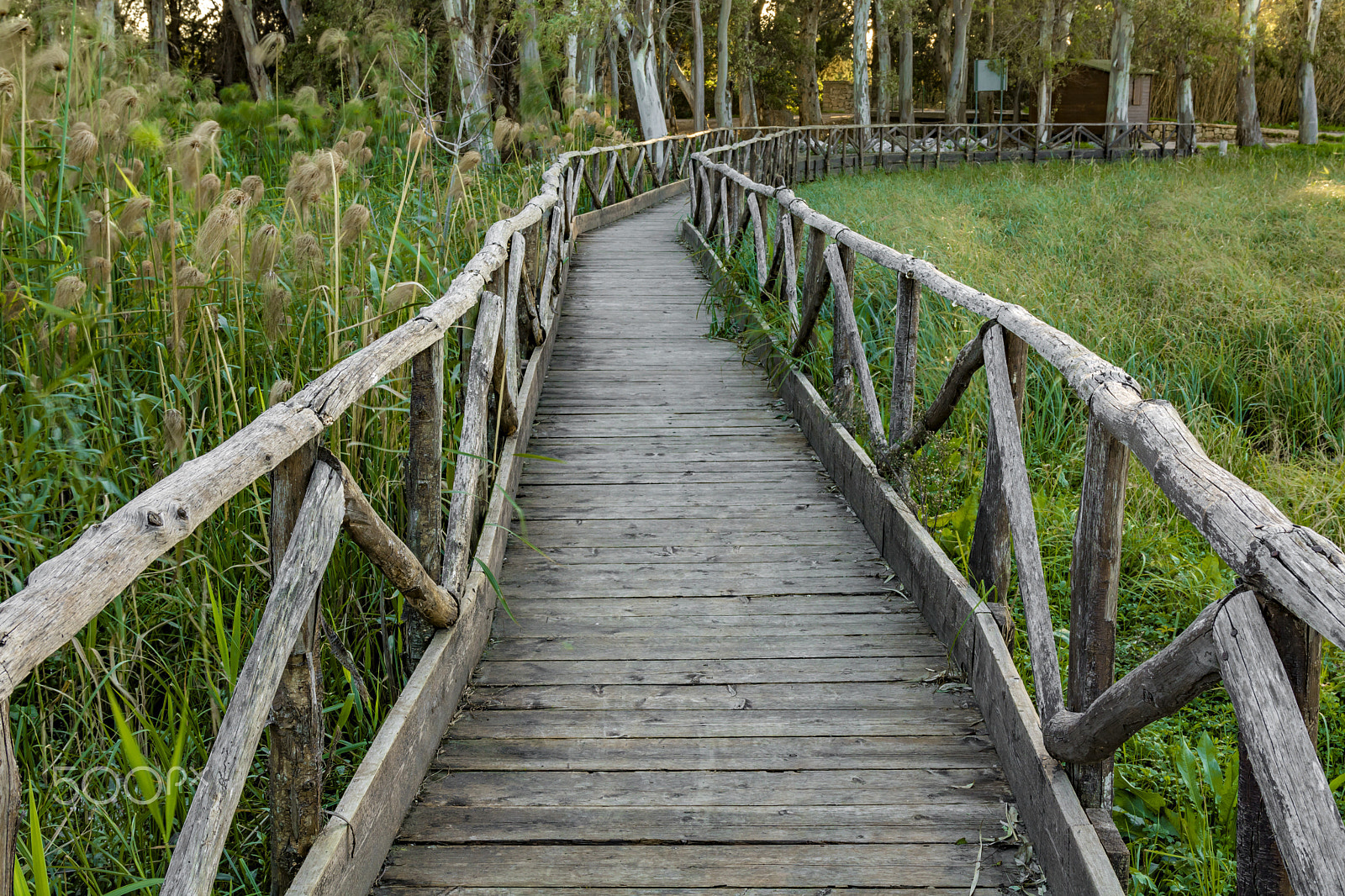 Sigma 17-70mm F2.8-4 DC Macro OS HSM sample photo. Wooden catwalk photography