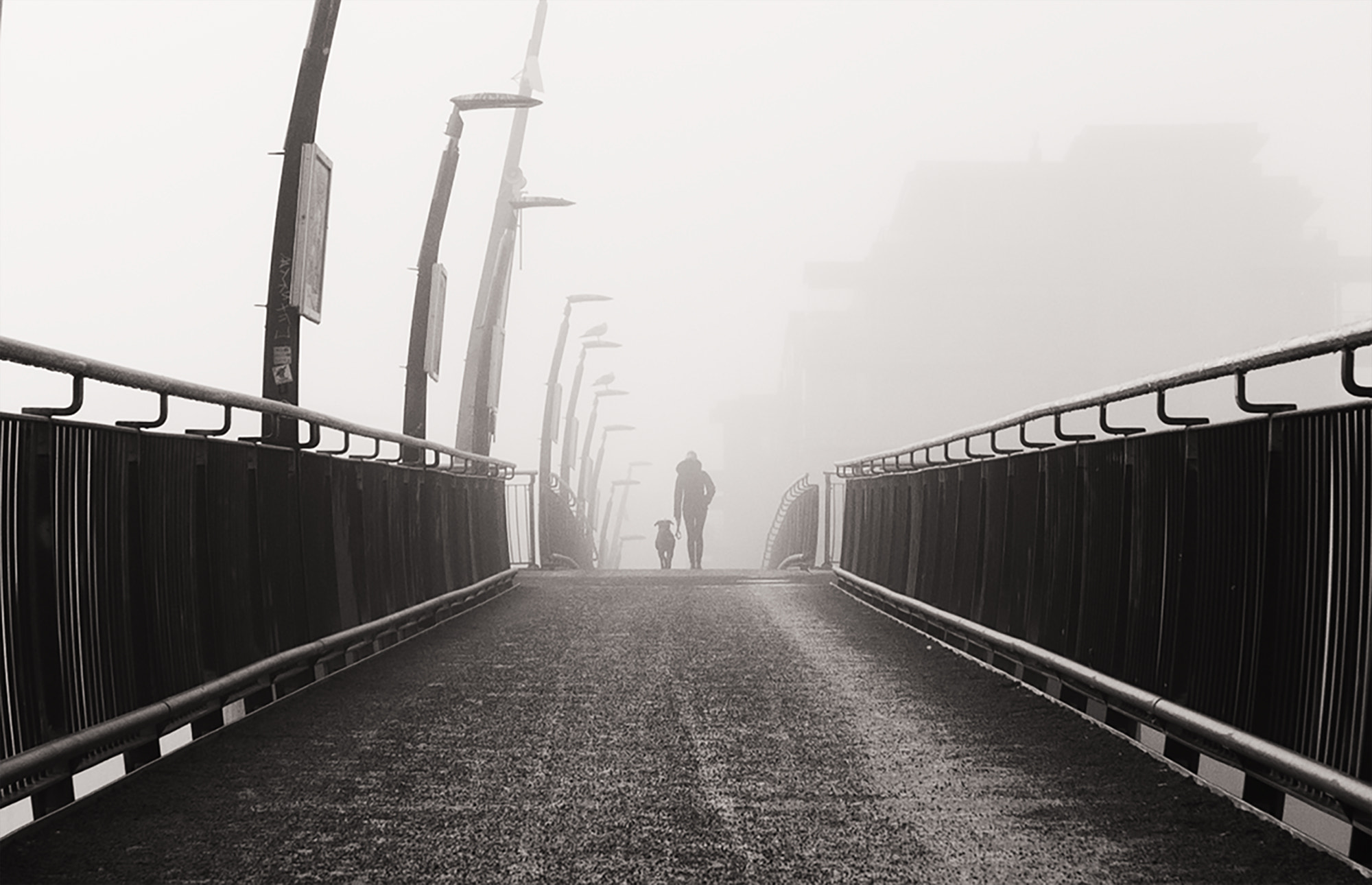 Nikon D750 sample photo. A foggy day in tønsberg, norway photography