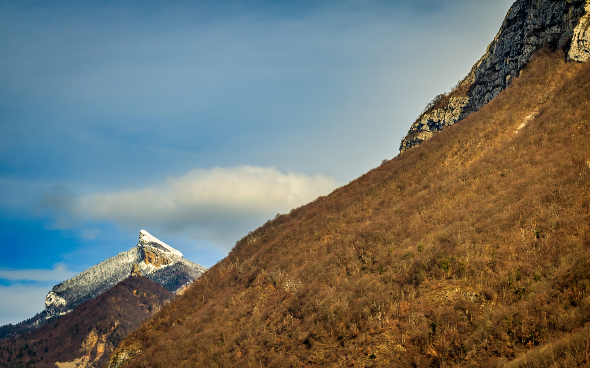 Canon EF 24-85mm F3.5-4.5 USM sample photo. Chartreuse (french alps) photography