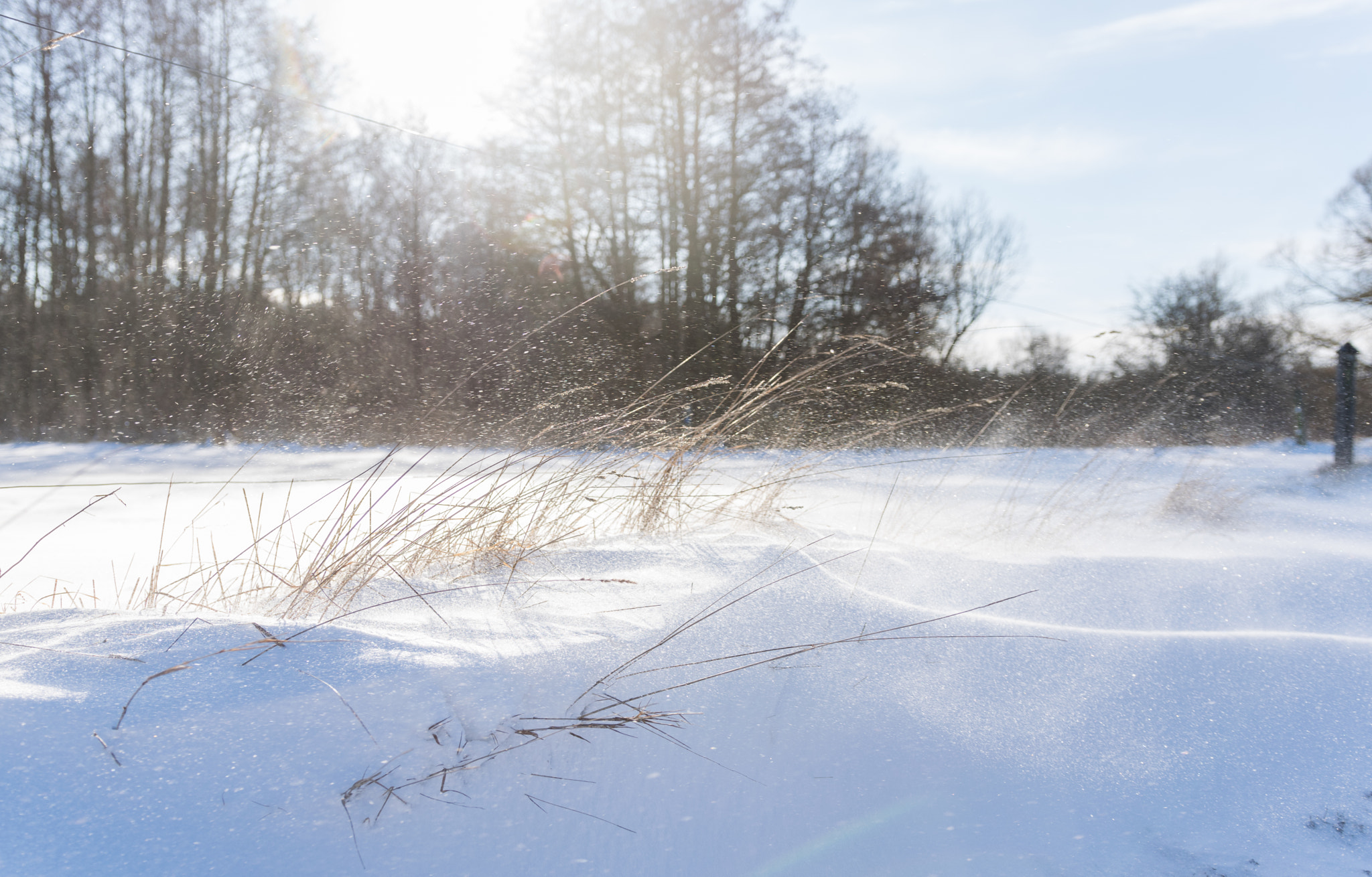 Nikon D3300 + Sigma 18-35mm F1.8 DC HSM Art sample photo. Cold winter snowday photography