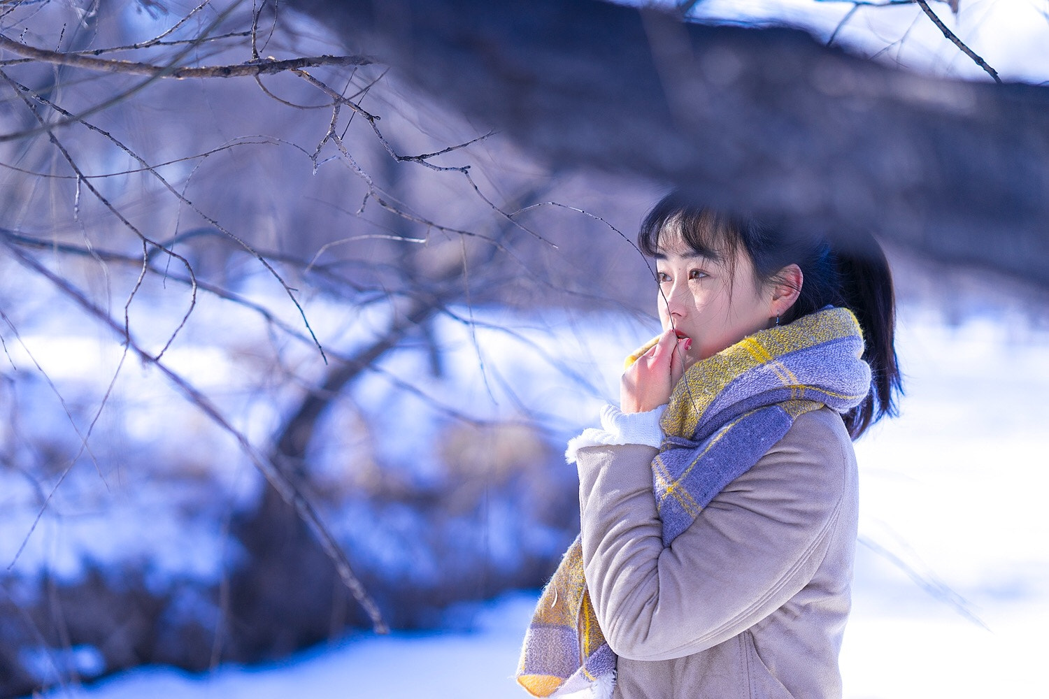 Sony FE 85mm F1.4 GM sample photo. 雪 photography