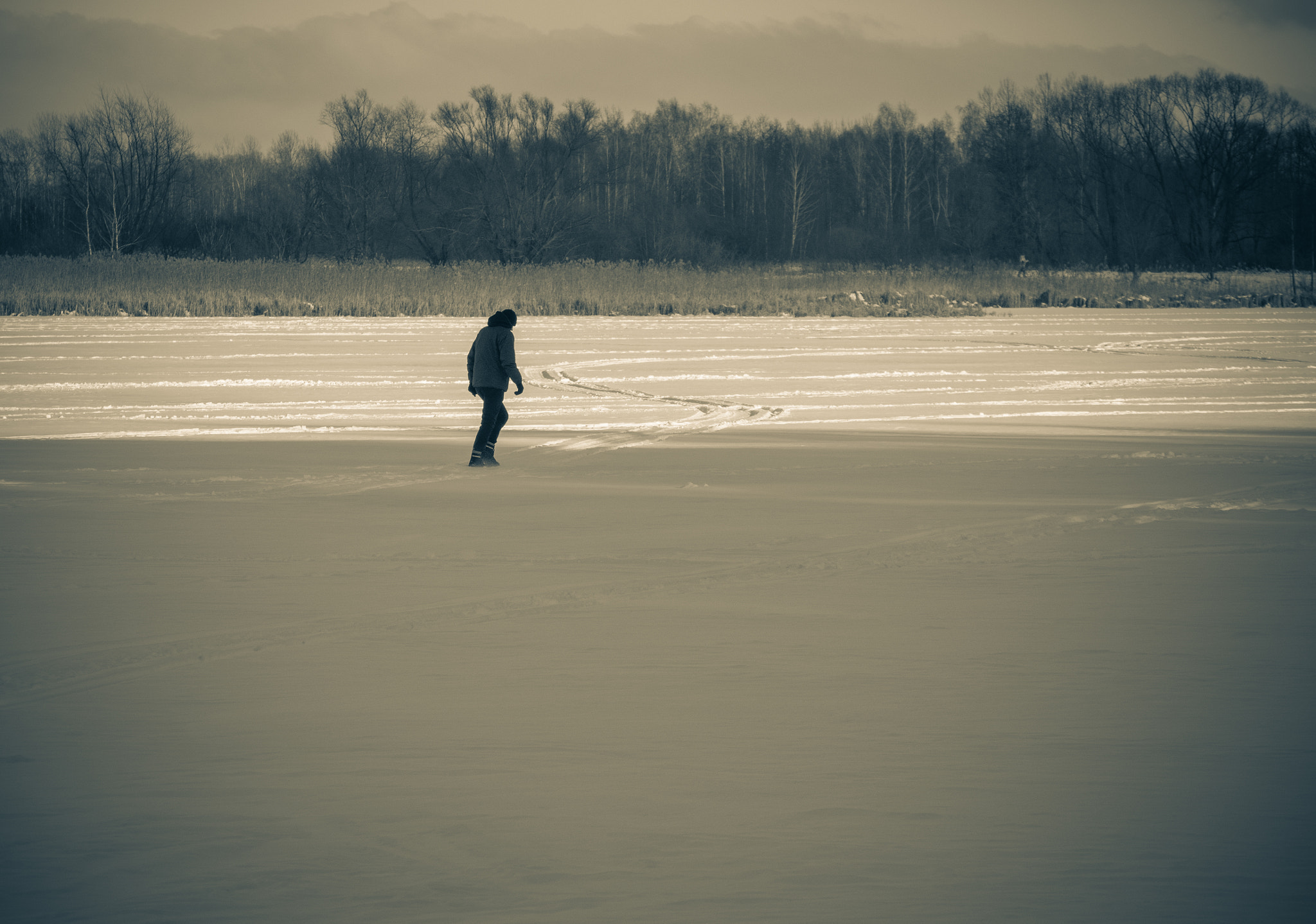 Olympus OM-D E-M10 sample photo. The lone walk . photography