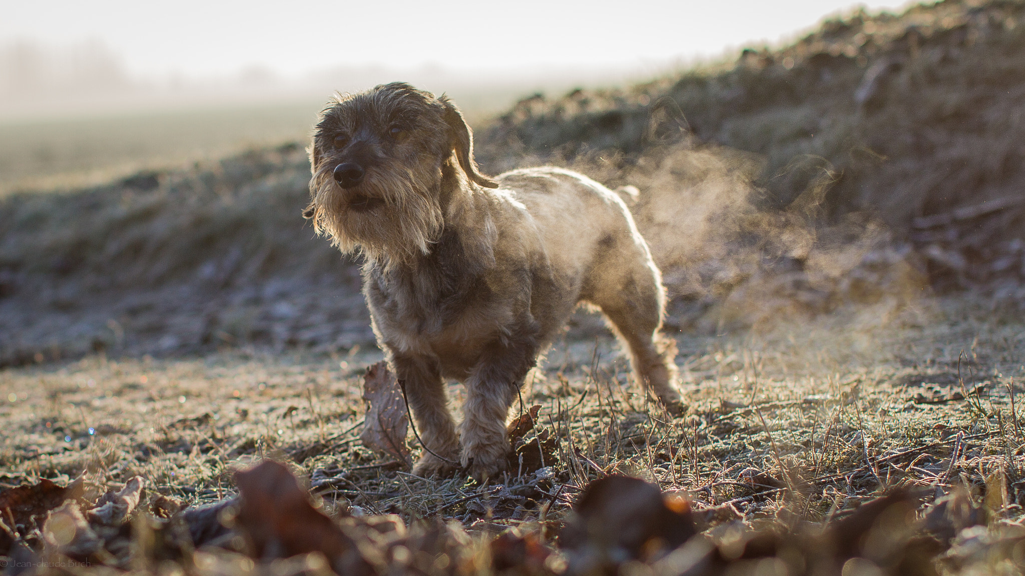 Canon EOS 7D + Canon EF 50mm F1.2L USM sample photo. Anna vom lindendich photography