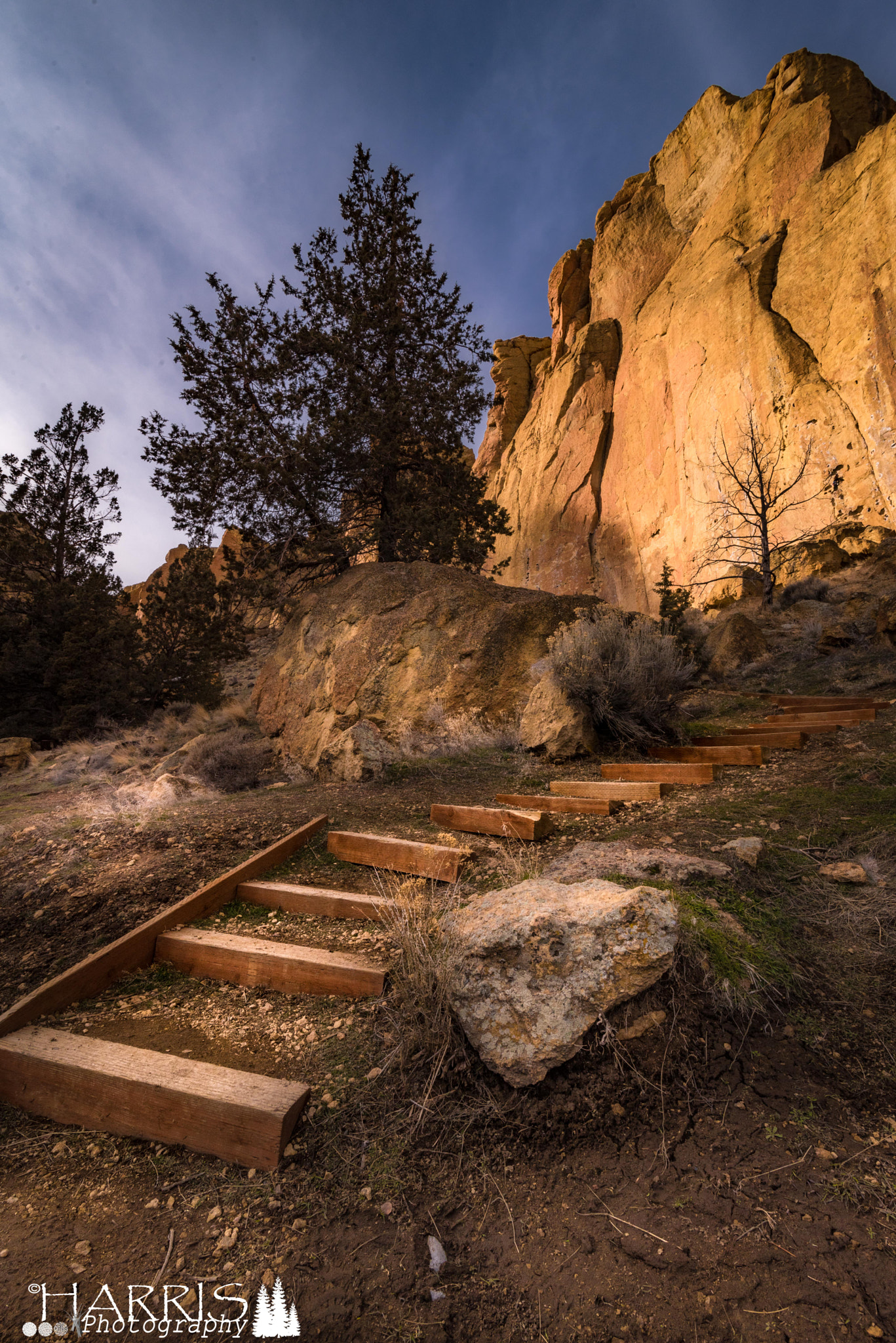 Nikon D750 + Tokina AT-X 16-28mm F2.8 Pro FX sample photo. Stairway to smith rocks photography