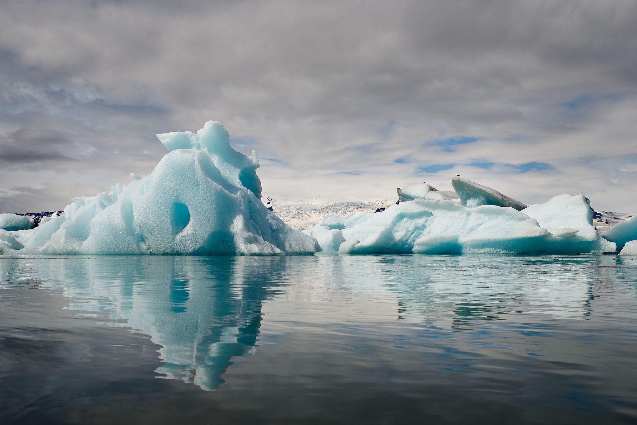 Nikon D800E sample photo. Swimming iceberg ii photography