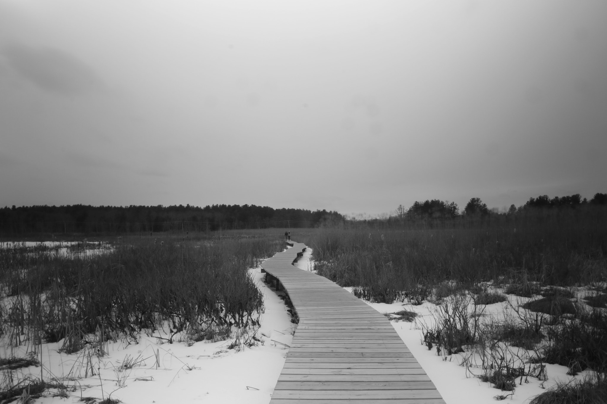 Canon EOS 750D (EOS Rebel T6i / EOS Kiss X8i) sample photo. A winter walk photography
