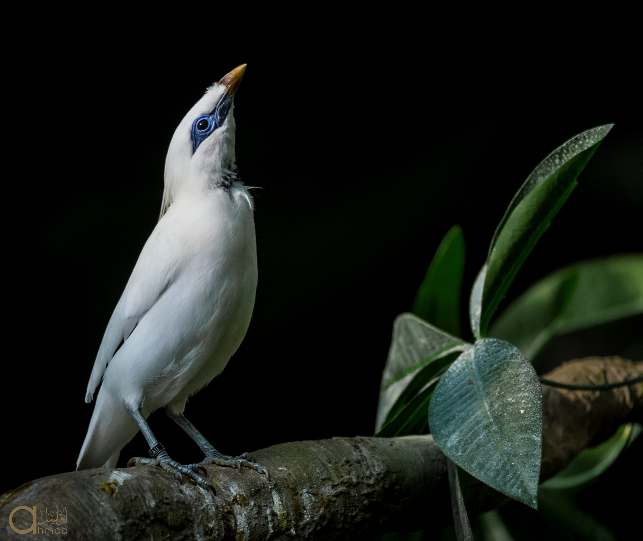 Sigma 150-600mm F5-6.3 DG OS HSM | S sample photo