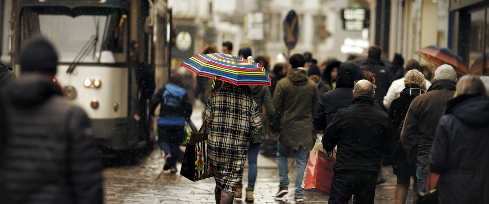 Canon EOS 6D + Canon EF 200mm F2.8L II USM sample photo. Rain's got notthing on me photography