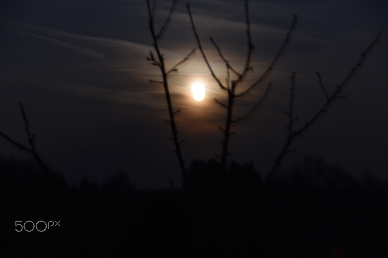 Nikon D5500 sample photo. Mond photography
