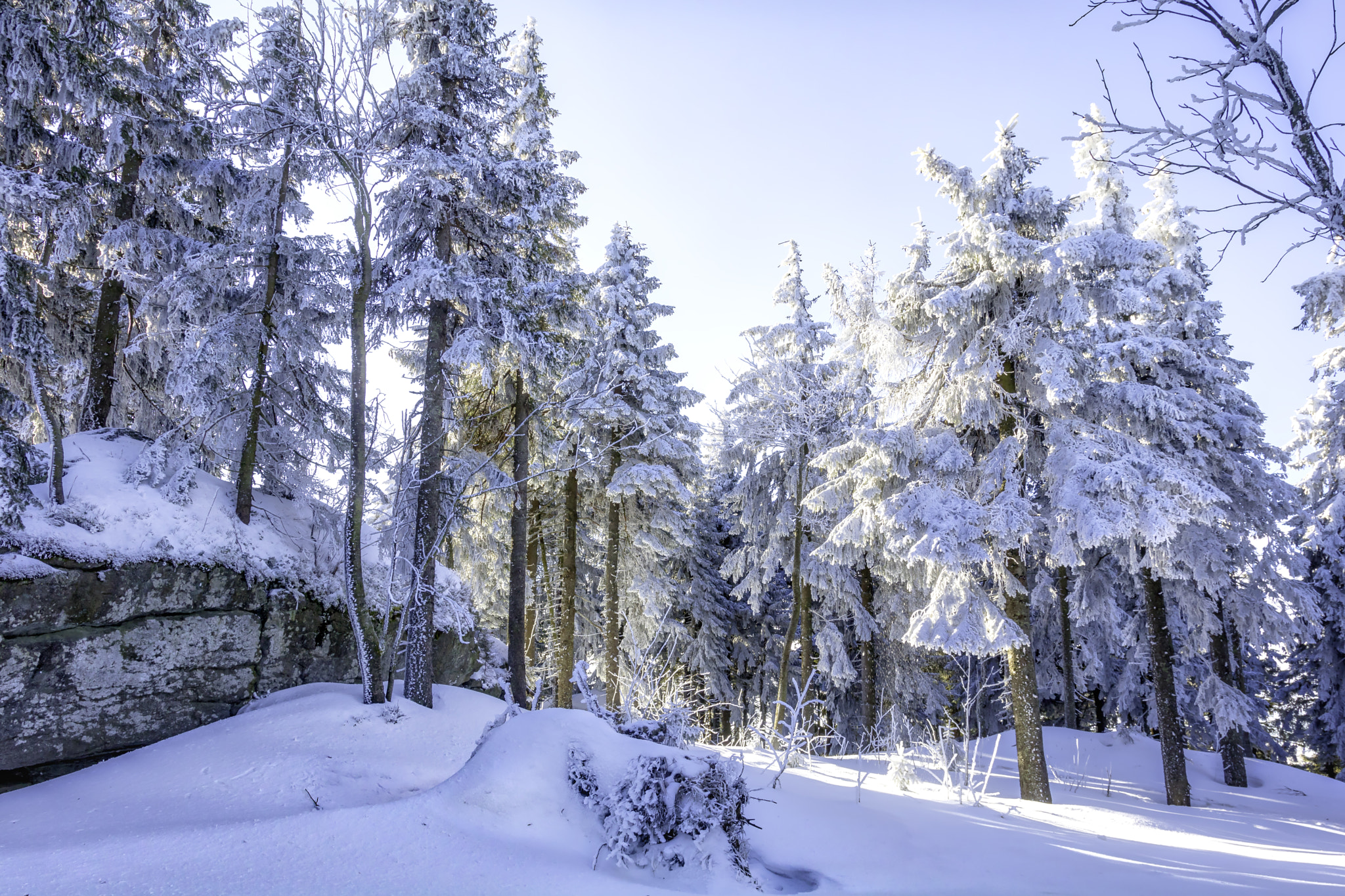 Canon EOS 760D (EOS Rebel T6s / EOS 8000D) + Sigma 18-35mm f/1.8 DC HSM sample photo. Winter wonder land austria photography