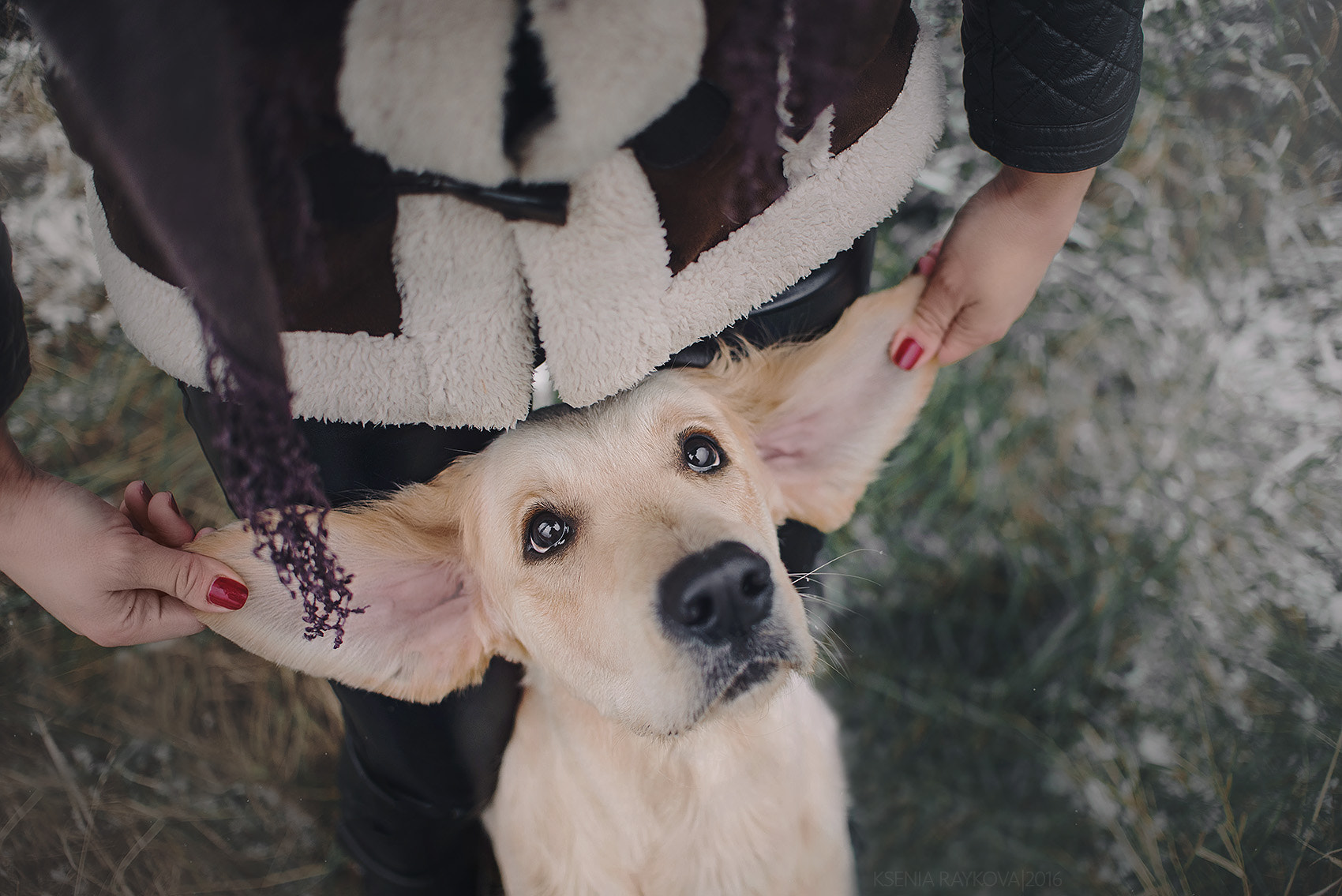 Nikon D750 sample photo. Love in the ears photography