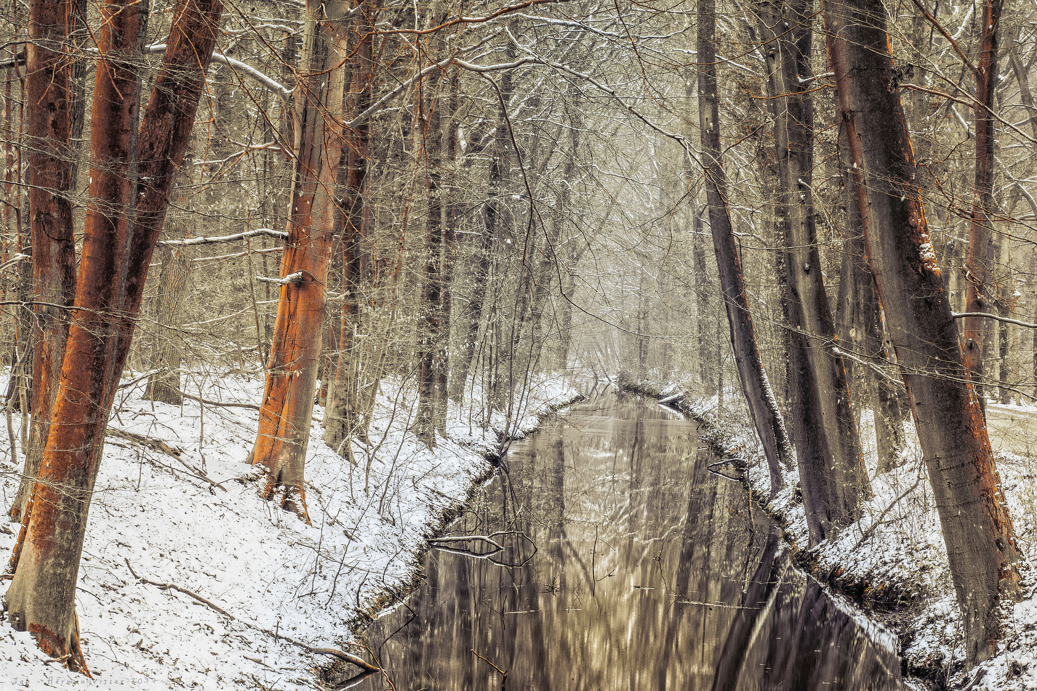 Canon EOS-1Ds Mark II sample photo. Golden winter glow photography