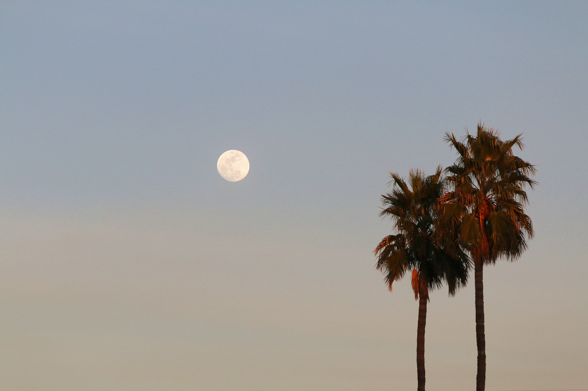 Canon EF 28-135mm F3.5-5.6 IS USM sample photo. Phoenix, az pm 1 photography