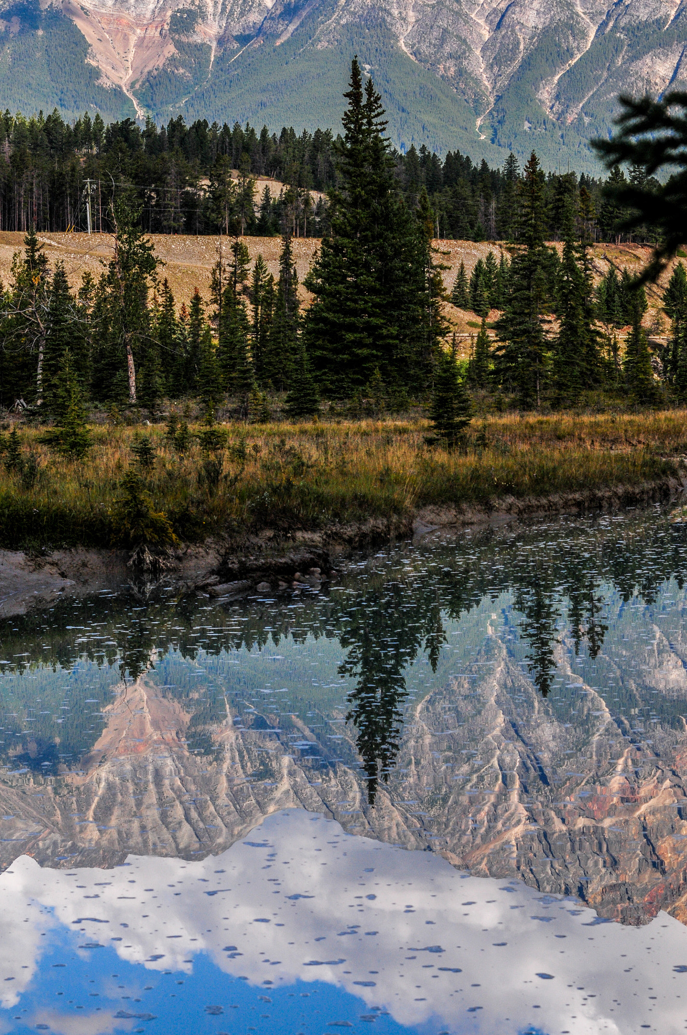 Nikon D300S + Sigma 70-200mm F2.8 EX DG Macro HSM II sample photo. Athabasca side stream reflection photography