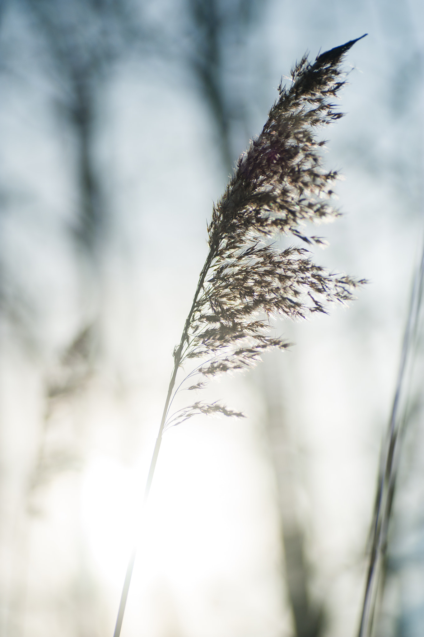Nikon D700 sample photo. Serenity photography