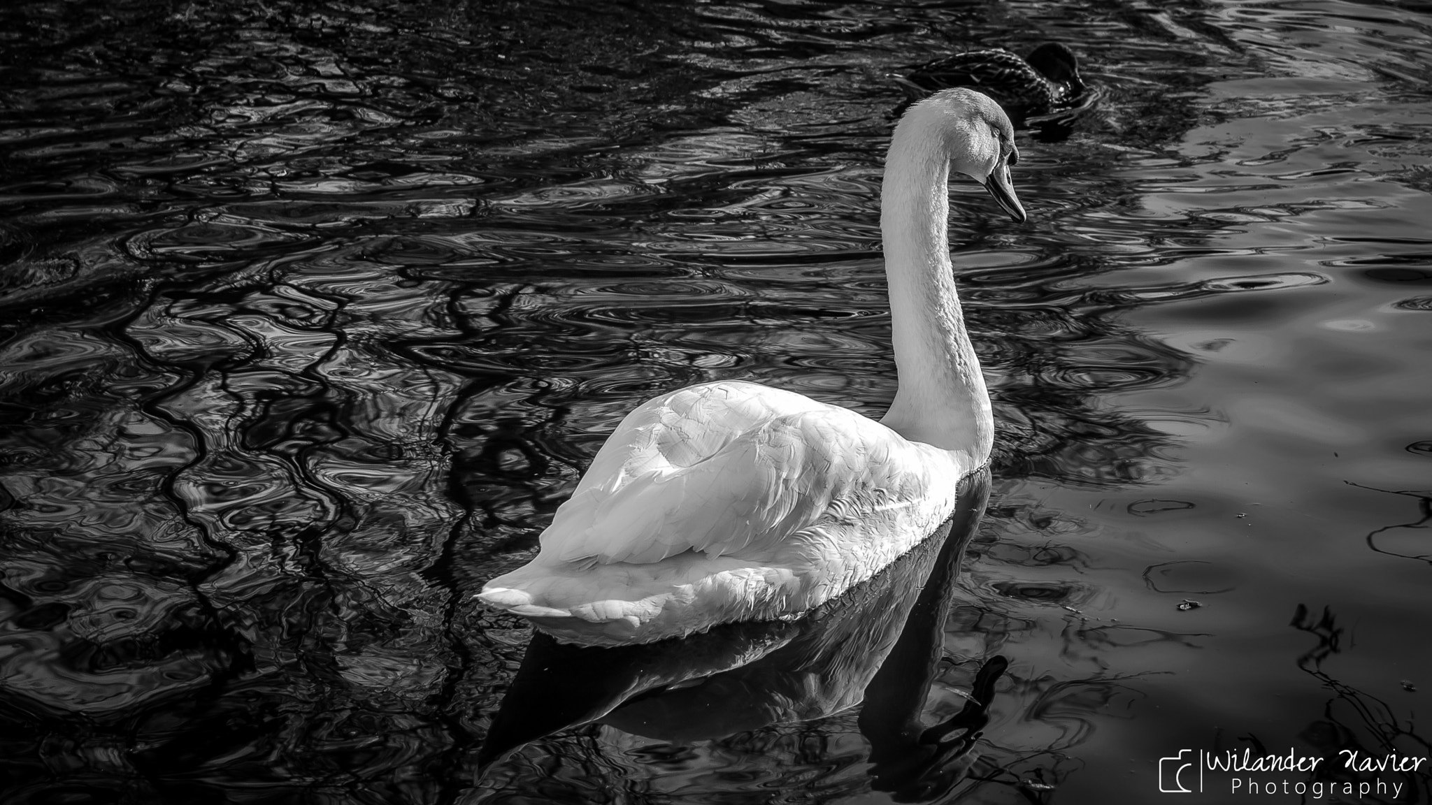 Canon EF-S 17-55mm F2.8 IS USM sample photo. Reflections! photography