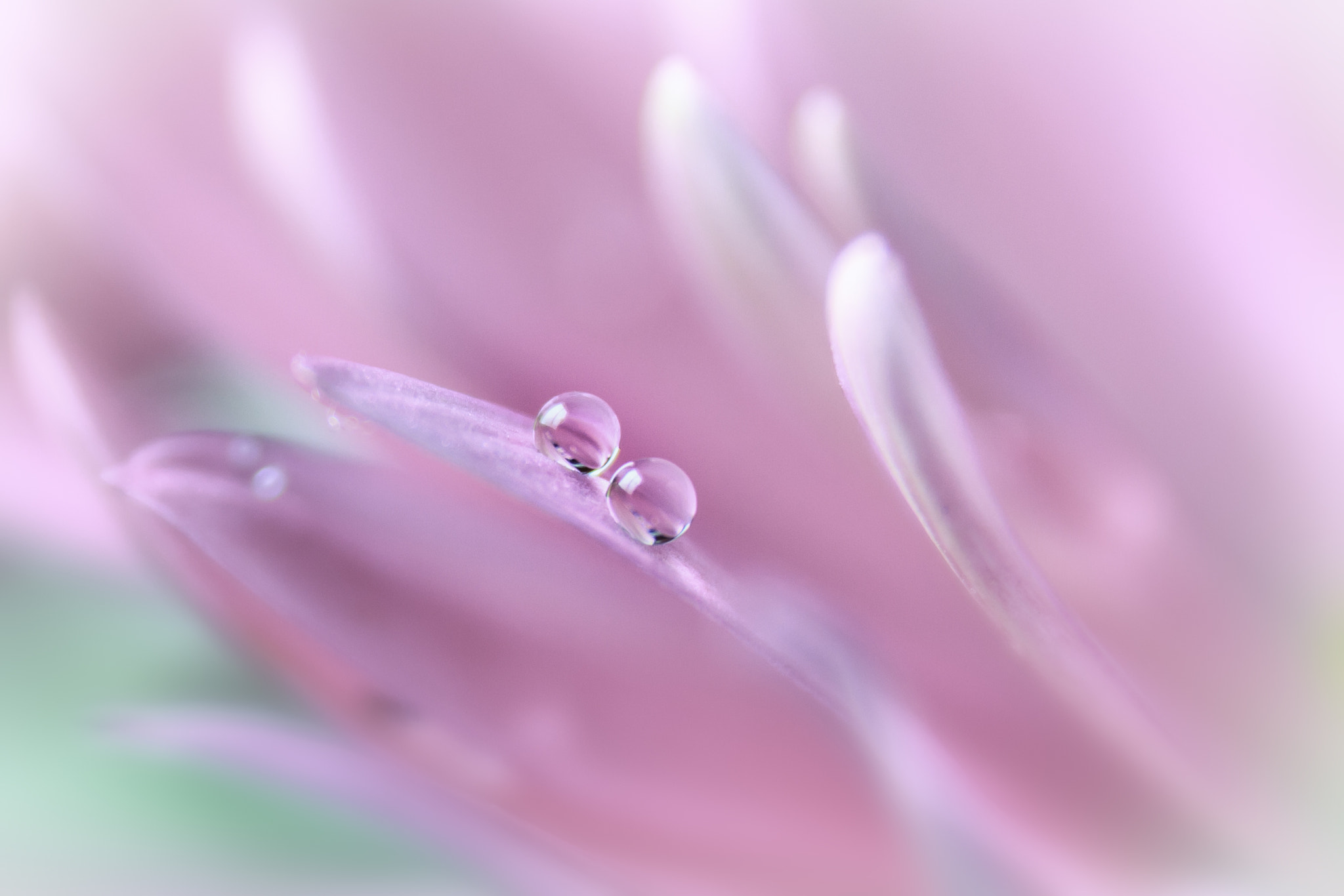 Canon EF 24-70mm F4L IS USM sample photo. *** photography