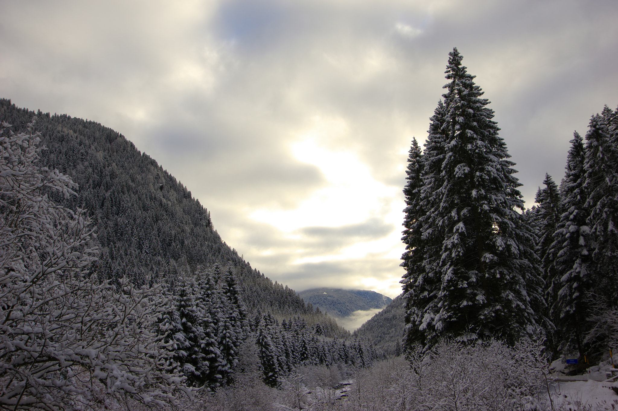 Pentax K-3 II sample photo