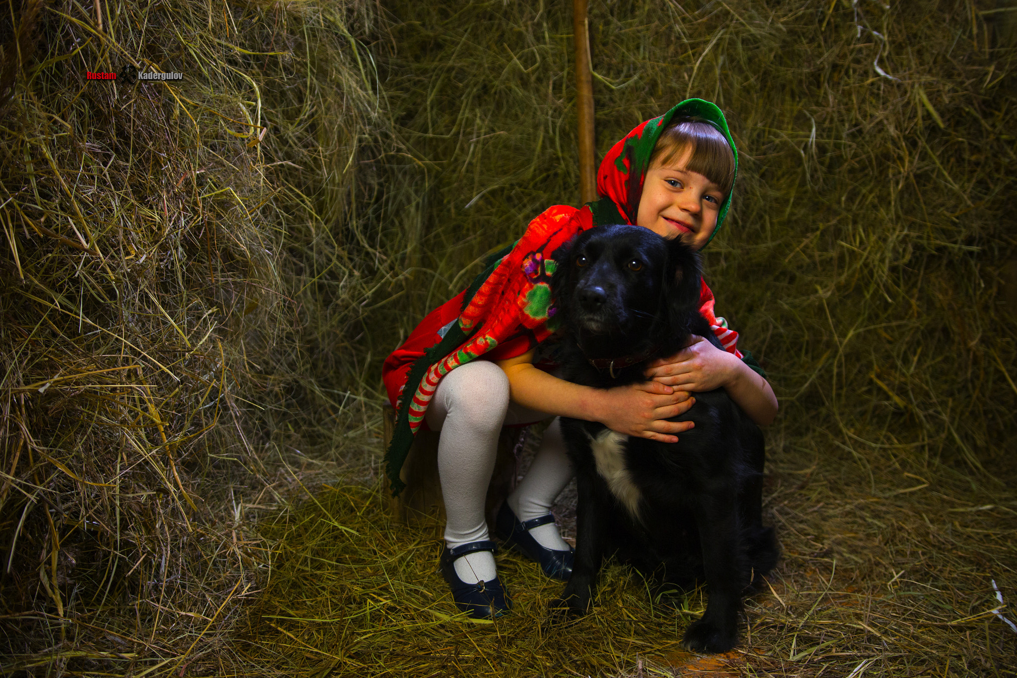 Sigma 18-35mm f/1.8 DC HSM sample photo. Девочка с собакой photography