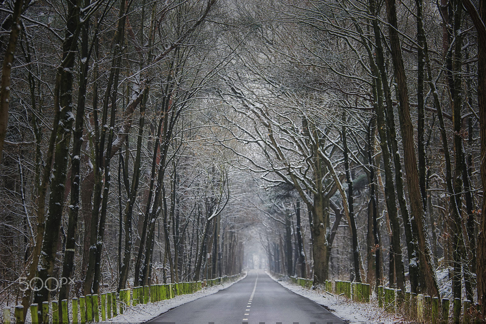 Sony a7R + DT 70-200mm F4 SAM sample photo. Frozen on saturday photography