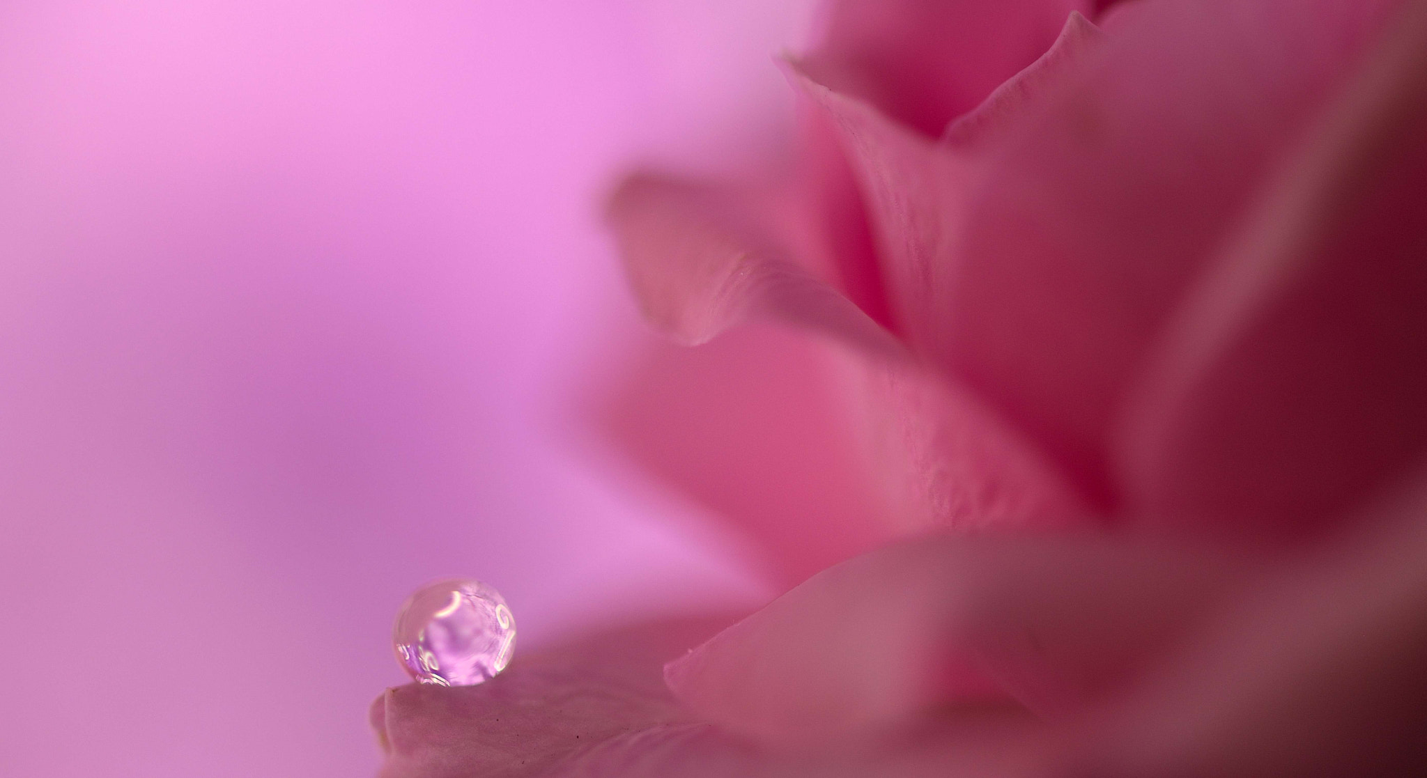 Sigma 105mm F2.8 EX DG OS HSM sample photo. Drop of light photography