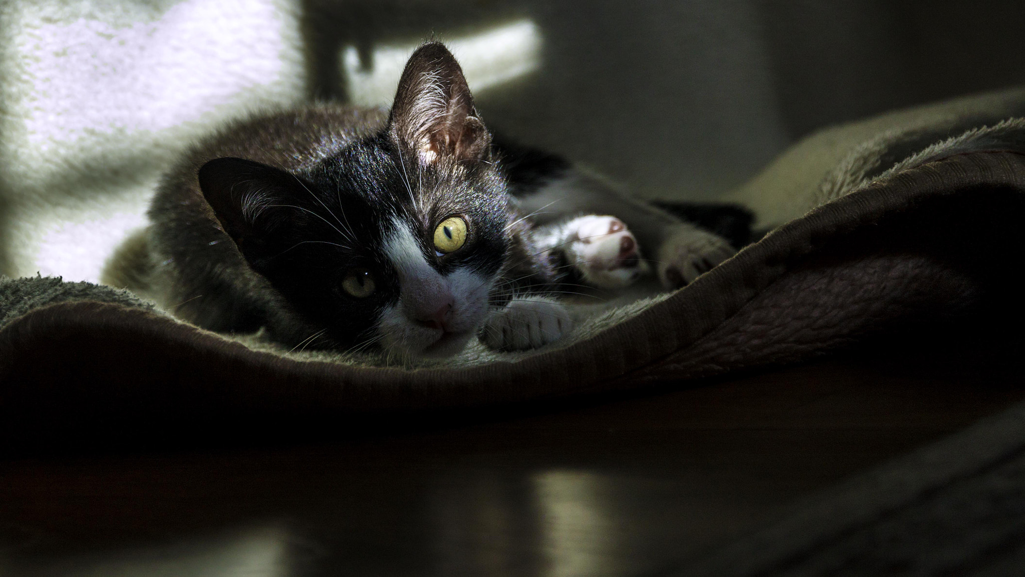 Canon EOS 500D (EOS Rebel T1i / EOS Kiss X3) sample photo. Luna photography