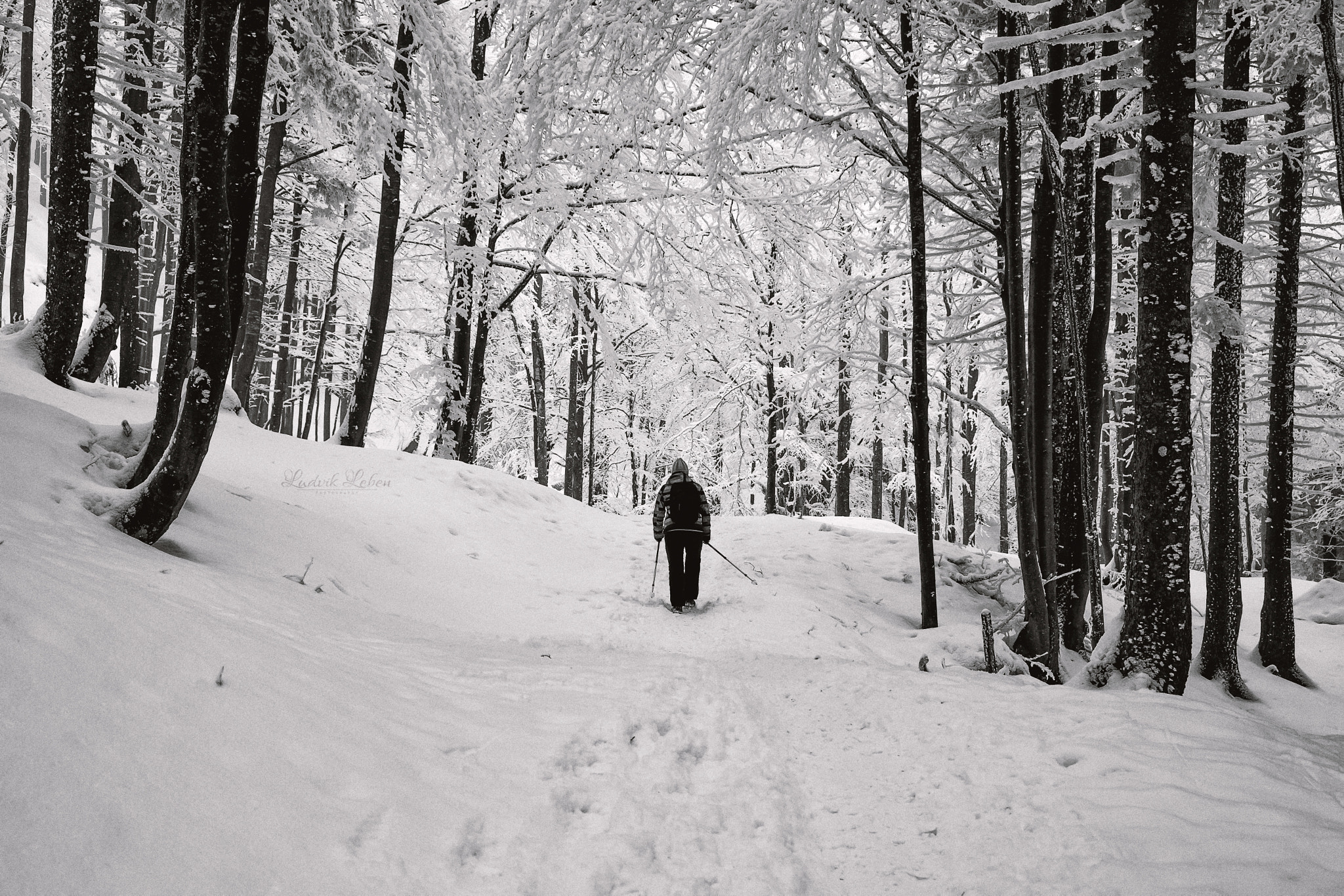 Minolta AF 24-85mm F3.5-4.5 [New] sample photo. Beautiful winter photography