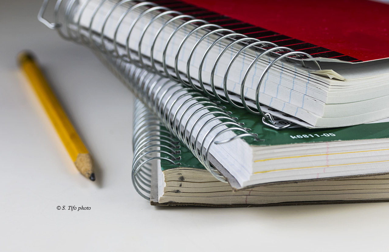 Canon EF-S 60mm F2.8 Macro USM sample photo. Diagonales ... photography