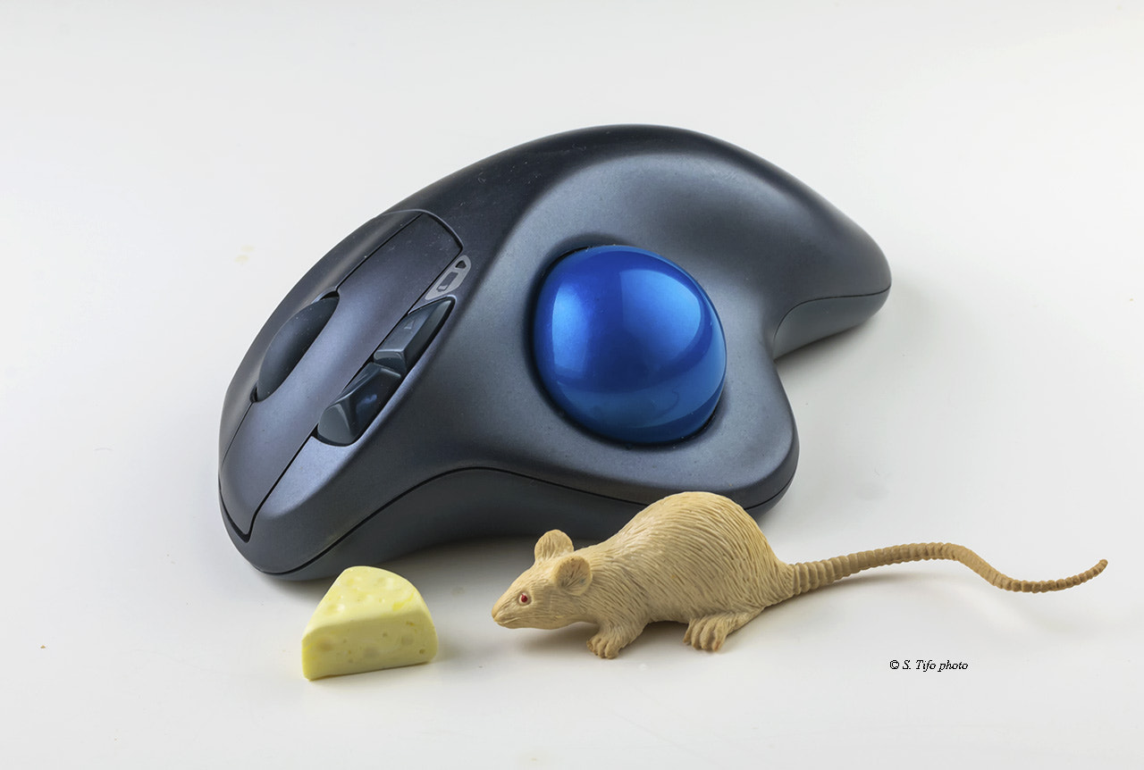 Canon EF-S 60mm F2.8 Macro USM sample photo. Mouses .... photography