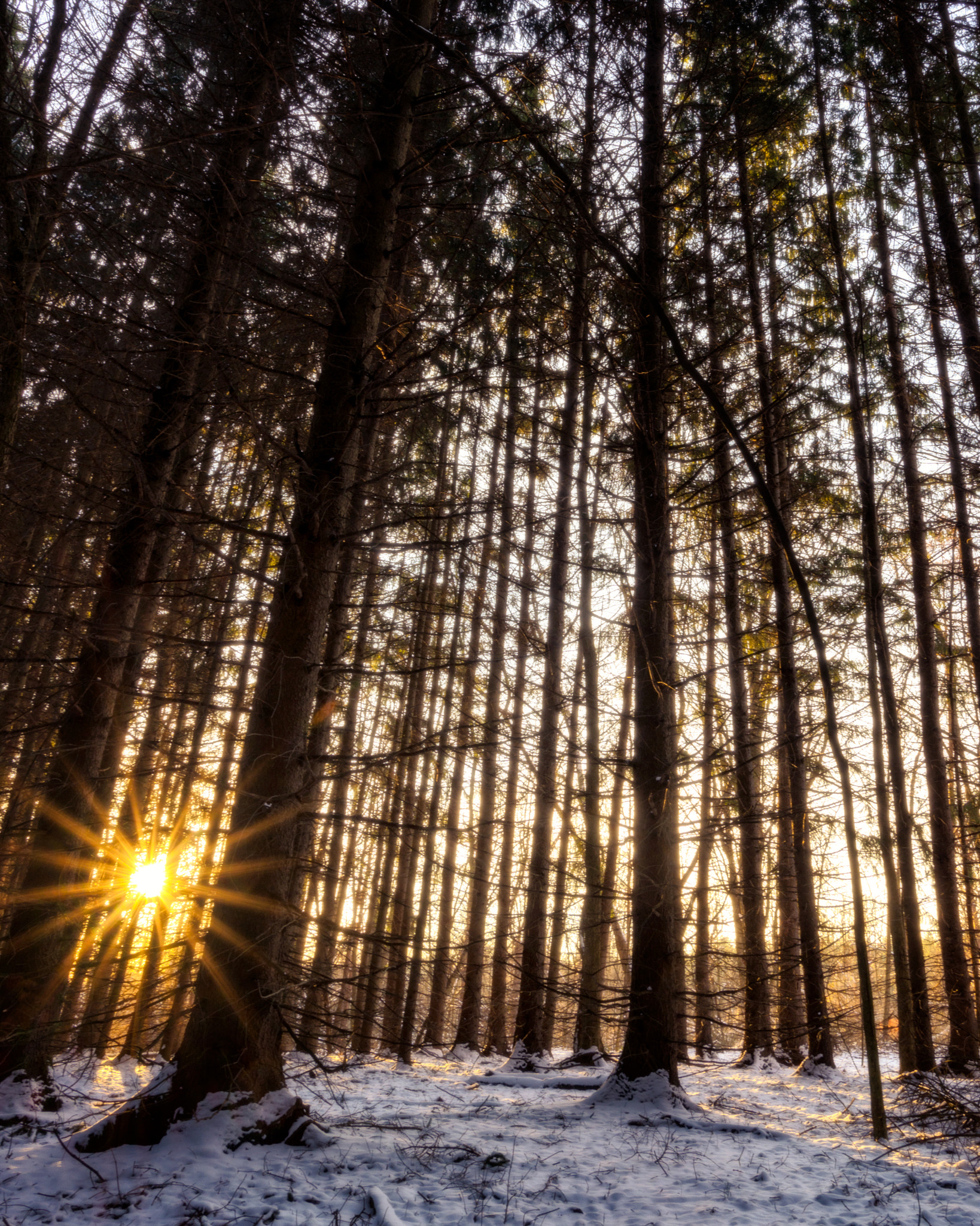 Tokina AT-X 17-35mm F4 Pro FX sample photo. Winter morning photography