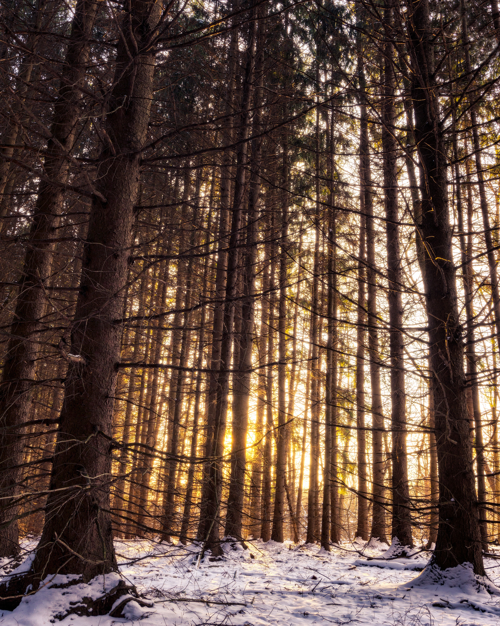 Tokina AT-X 17-35mm F4 Pro FX sample photo. Golden hour photography